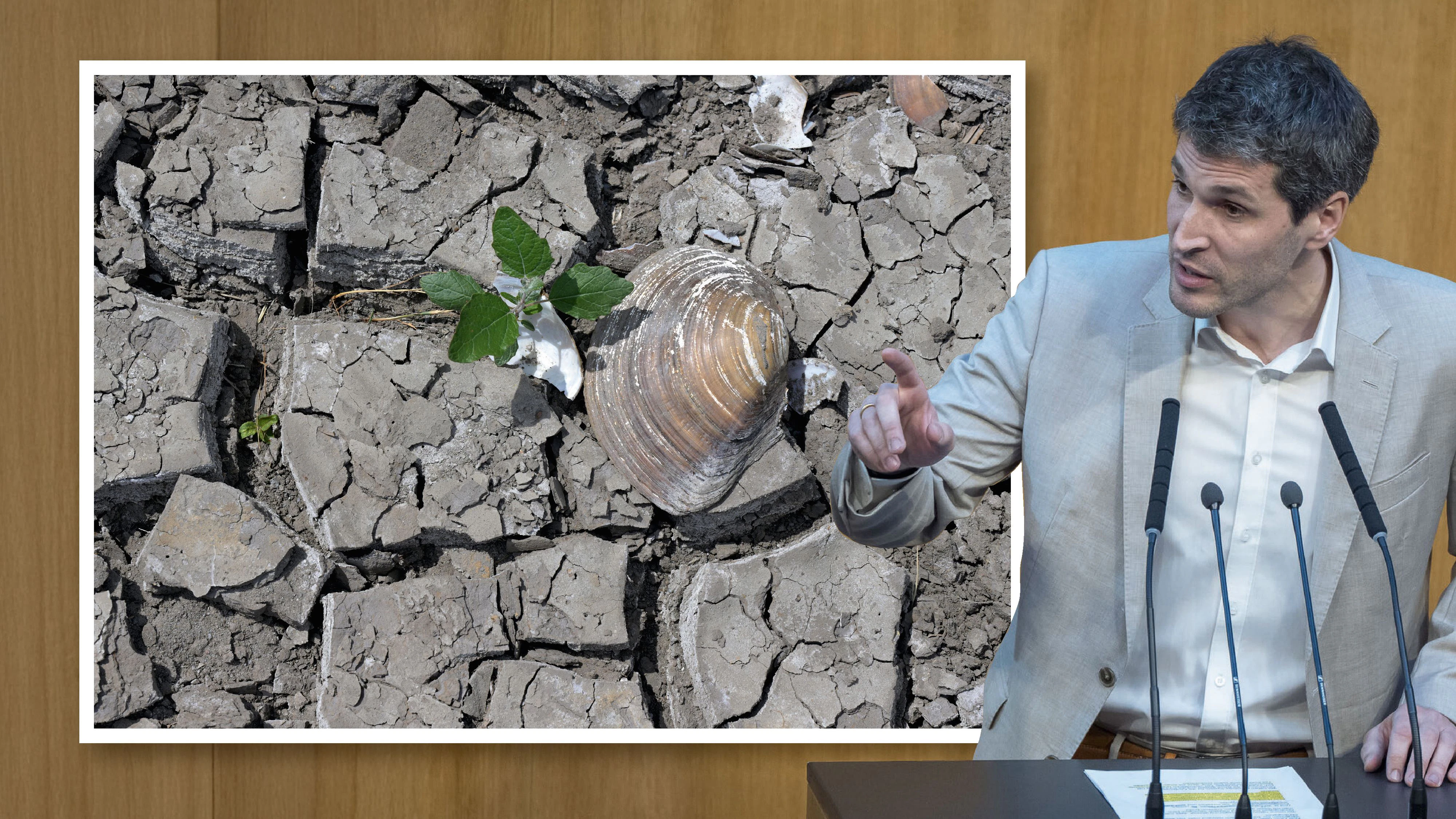 Heute.at - Trinkwasser vor Luxus-Pool: Grüner Appell bei Engpass