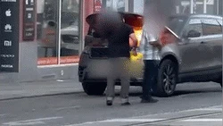 Heute.at - Fahrender Rover fing Feuer, Wiener konnte kaum bremsen