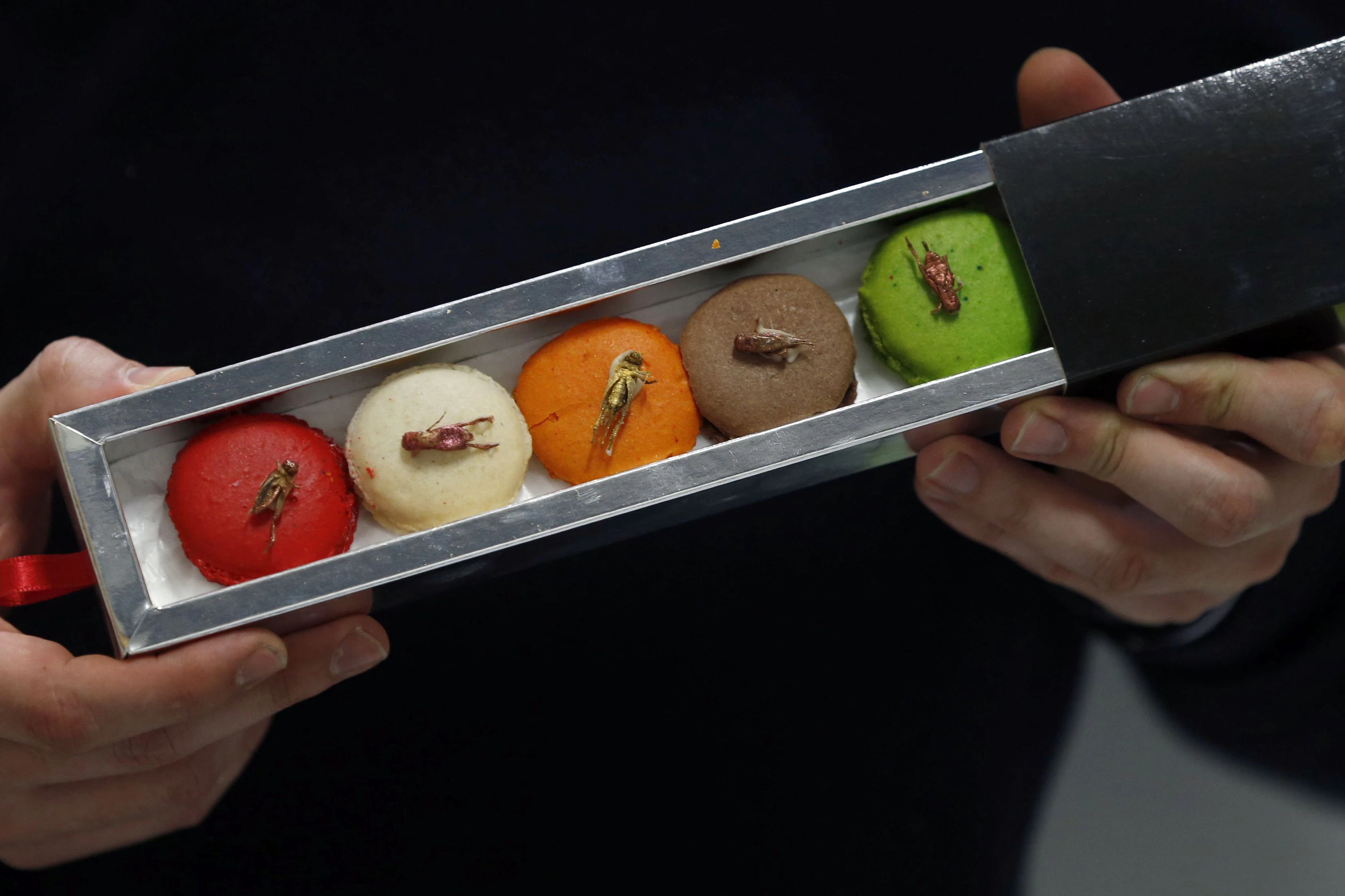 Topping auf französischen Macarons: In der EU brauchen die Produzenten von Insekten als Lebensmittel eine Zulassung für jedes ihrer Produkte