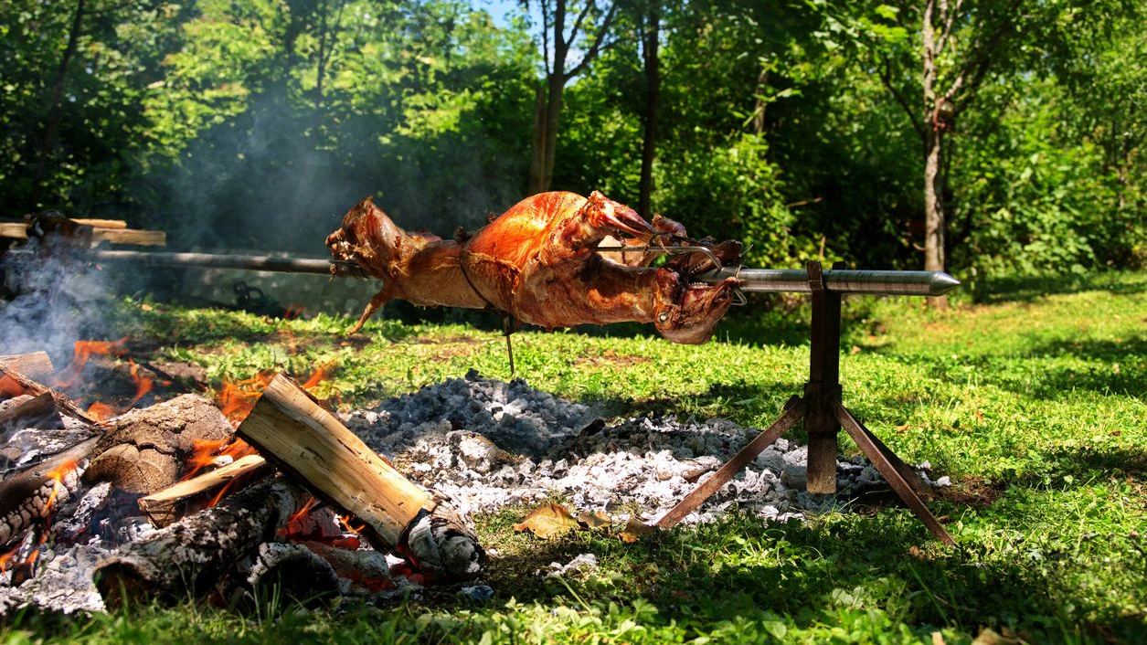 Heute.at - Schaf von Weide gestohlen und 700 Meter weiter gegrillt