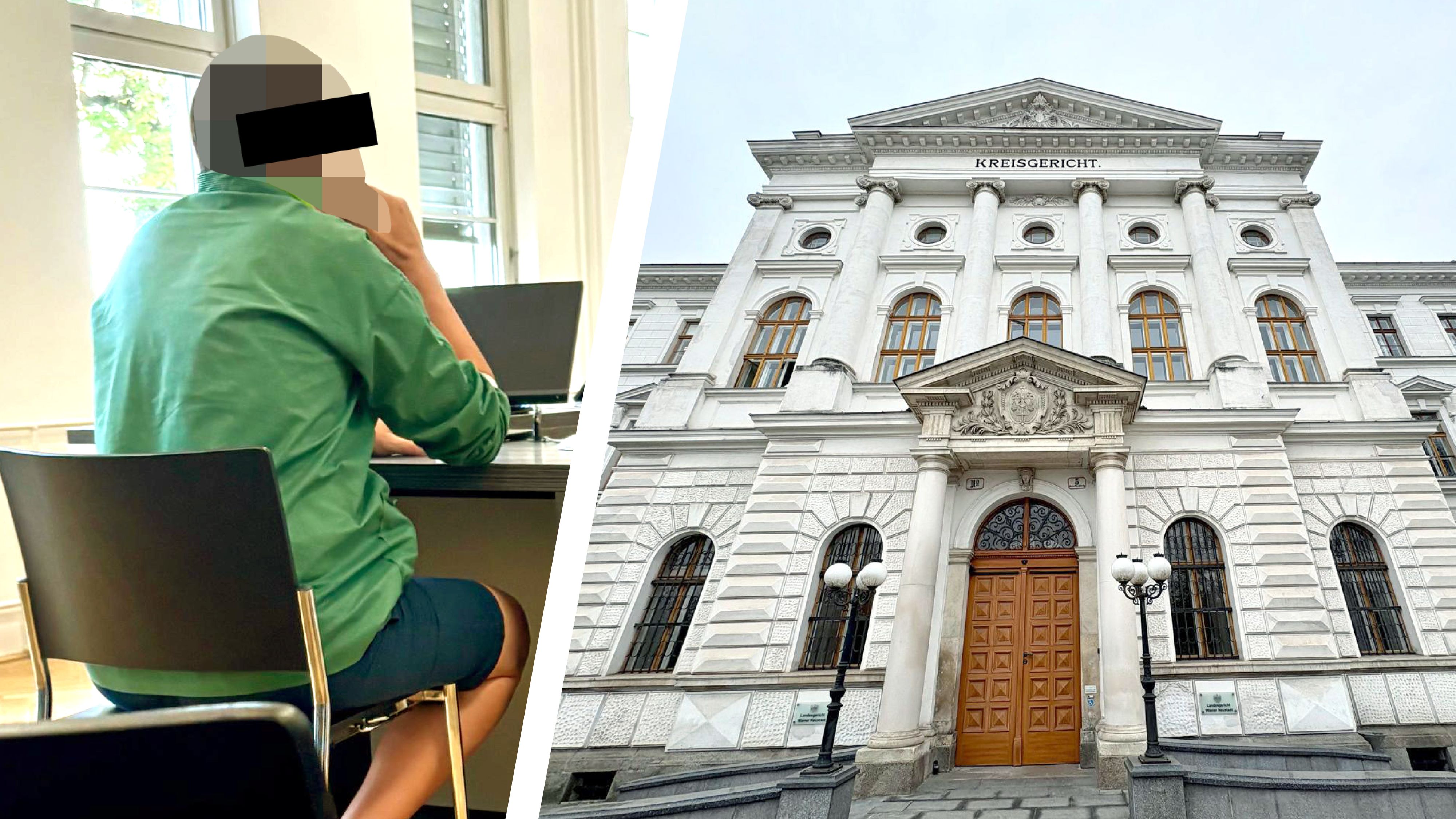 Prozess am Landesgericht Wr. Neustadt: Der Angeklagte vor Gericht
