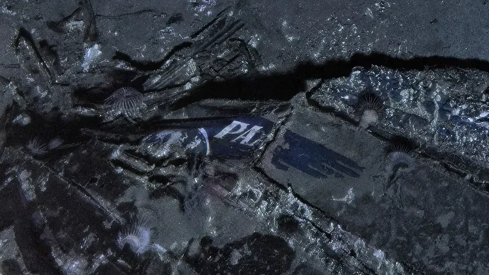 Heute.at - Seit 74 Jahren verschollen – Flugzeugwrack gefunden