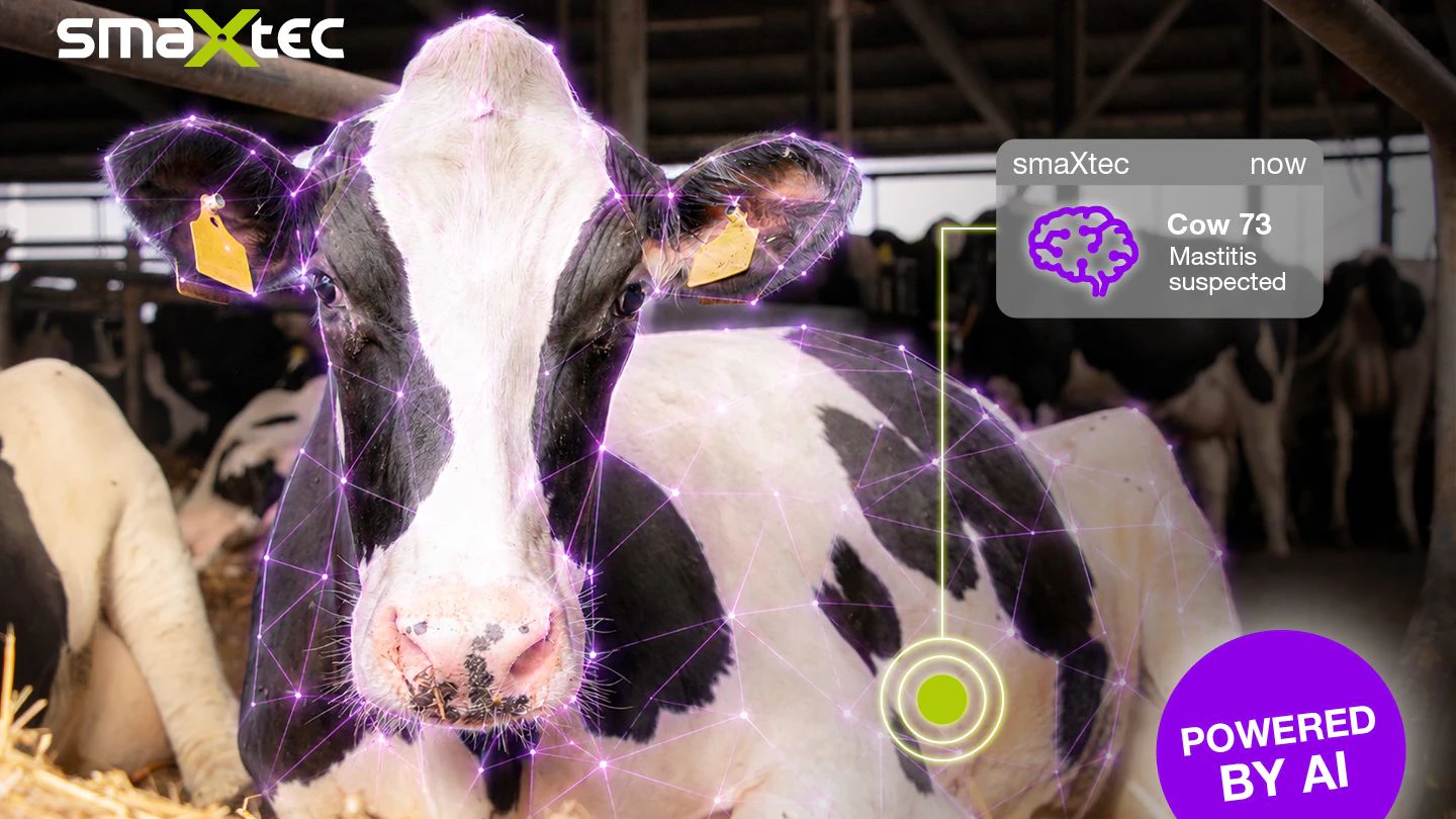 Das Grazer Technologieunternehmen smaXtec sieht Künstliche Intelligenz als wichtigen Baustein für effizientere Milchviehbetriebe.