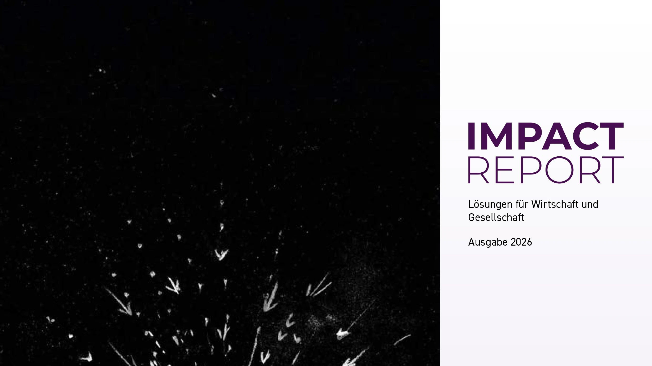 AIT Impact Report 2026: Wie Forschung zu Wettbewerbsfähigkeit, Resilienz und nachhaltiger Entwicklung beiträgt.