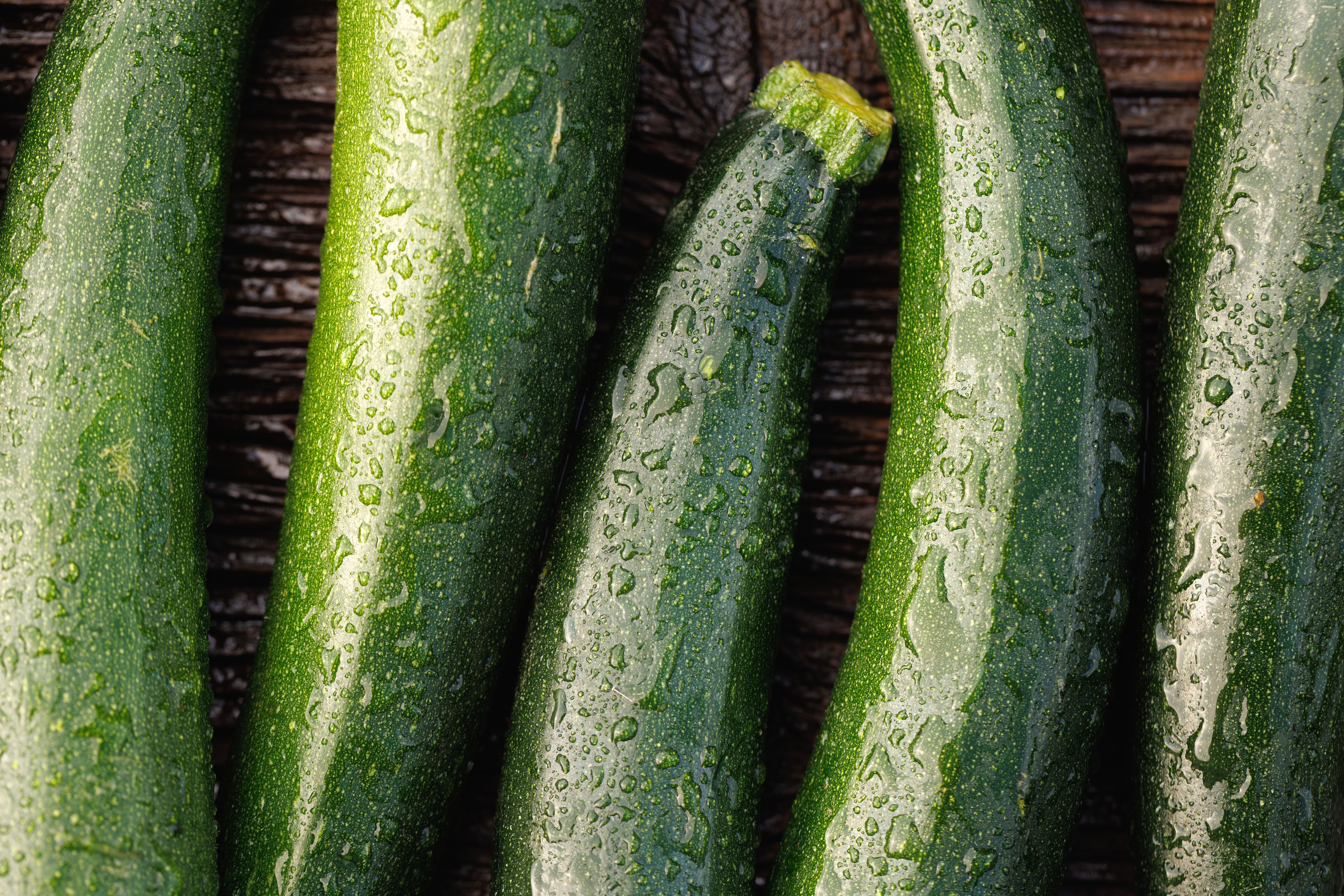 Die Zucchini-Saison läuft auf Hochtouren.