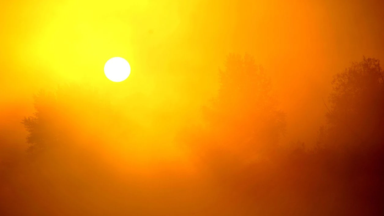 Anfang August kommt die Sommerhitze wieder zurück. 