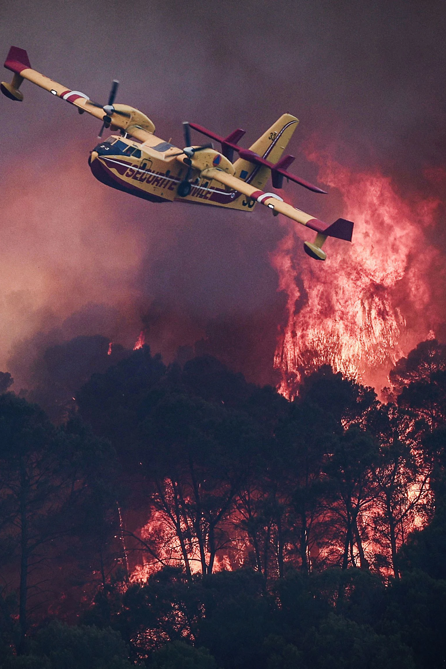 Auch mit Wasserflugzeugen versuche die Behörden, den Flammen Einhalt zu gebieten