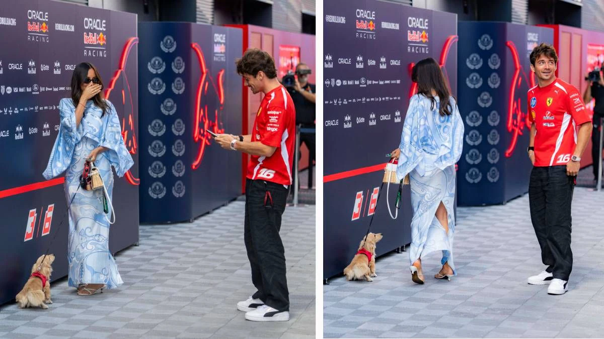 Heute.at - Boxenstopp! Leclerc-Dackel pinkelt vor Red-Bull-Garage