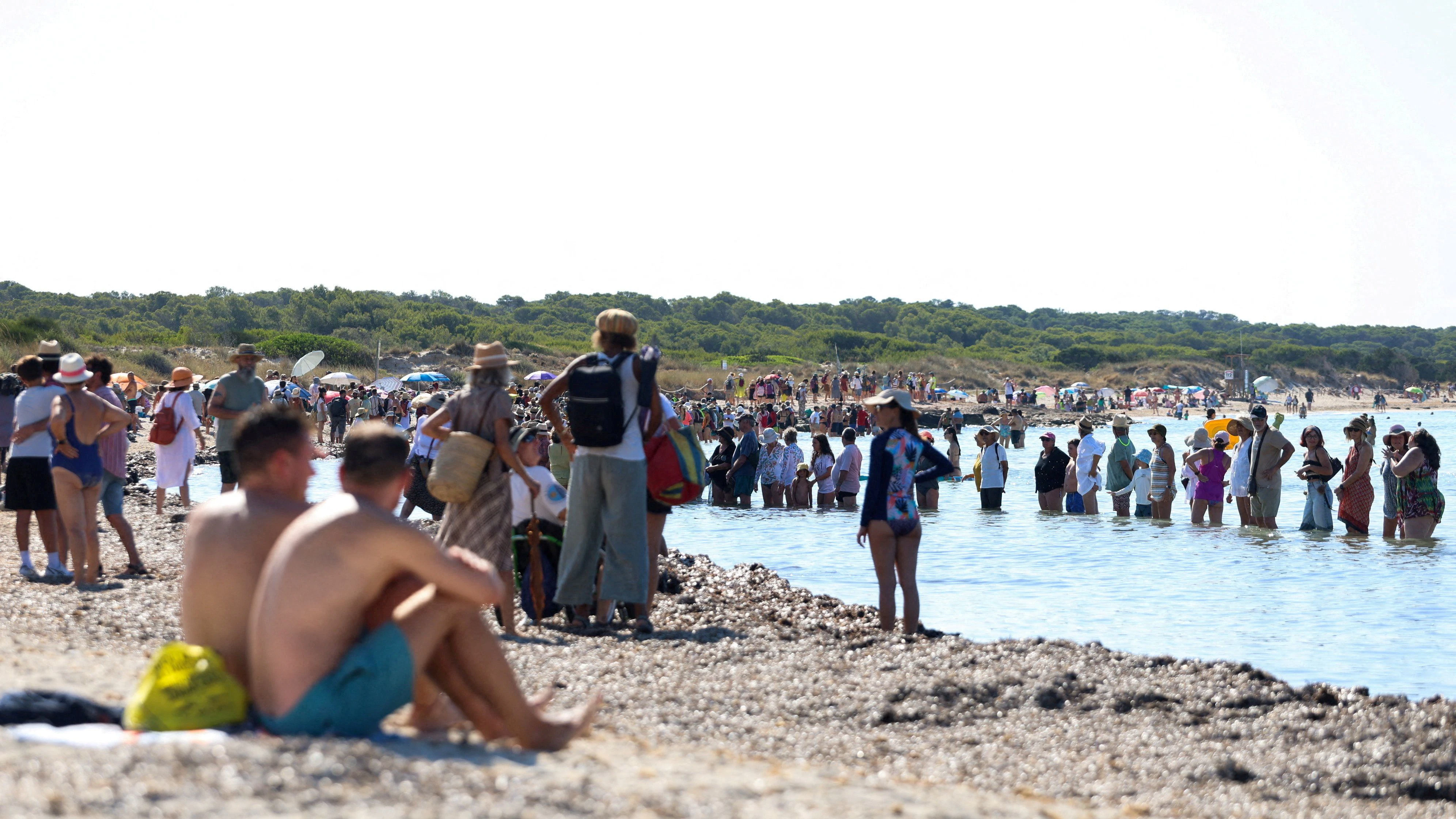 Heute.at - Gefühlte 51 Grad! Mallorca ächzt unter Hitzewelle