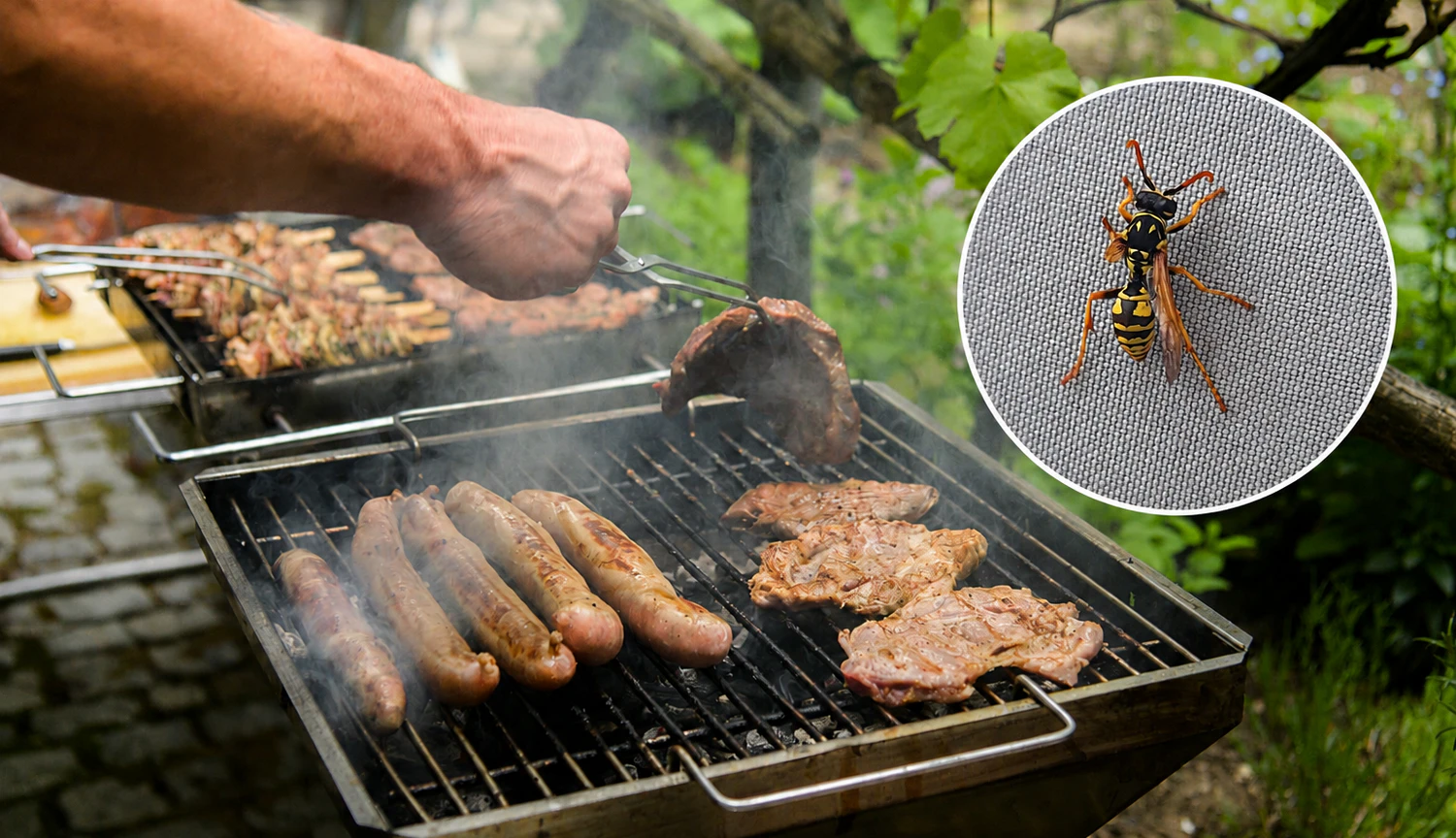 Heute.at - Wespen-Invasion stört jetzt Grillabende im ganzen Land