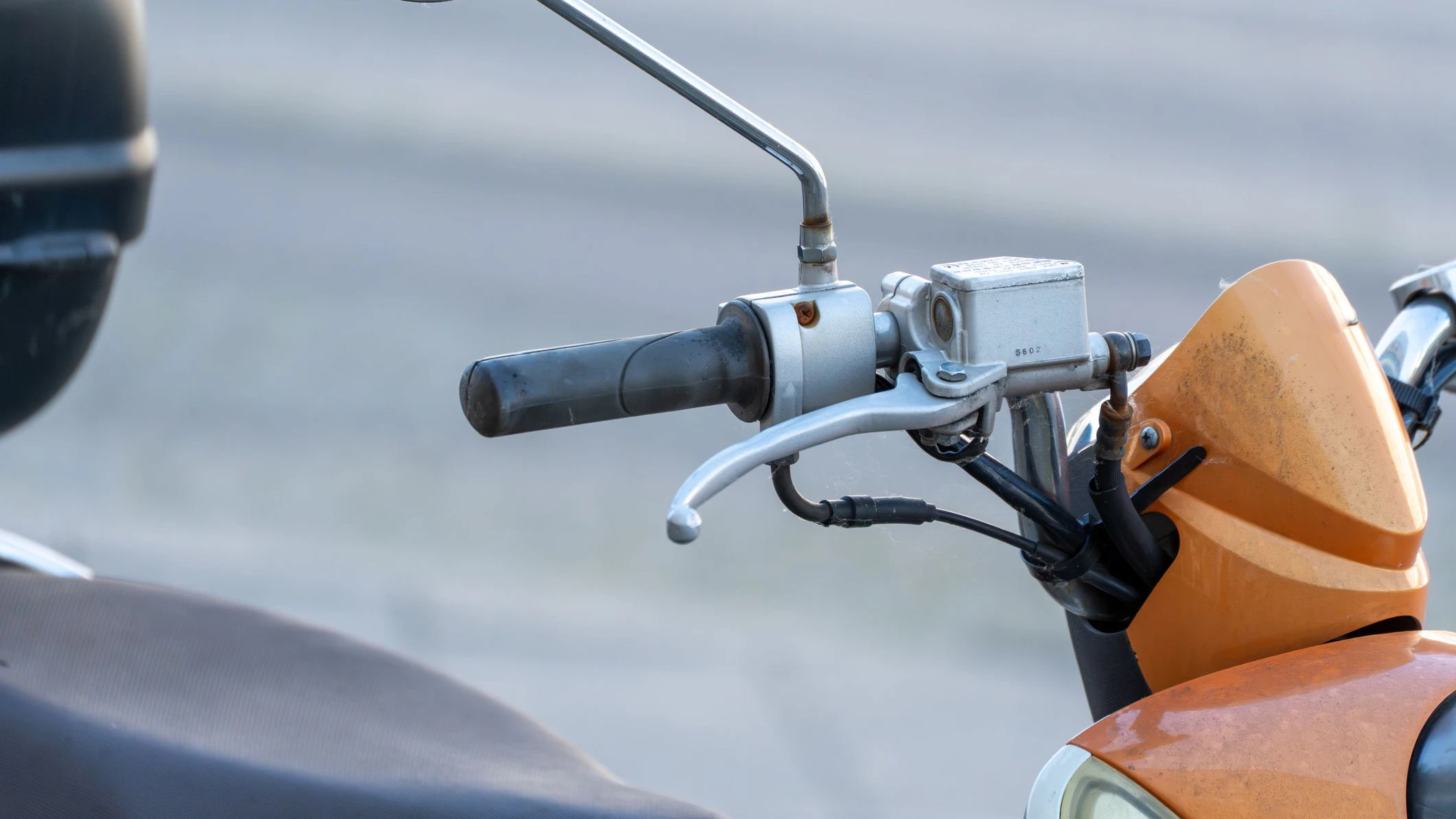 Heute.at - Freilaufender Affe bringt Mopedfahrer zu Sturz
