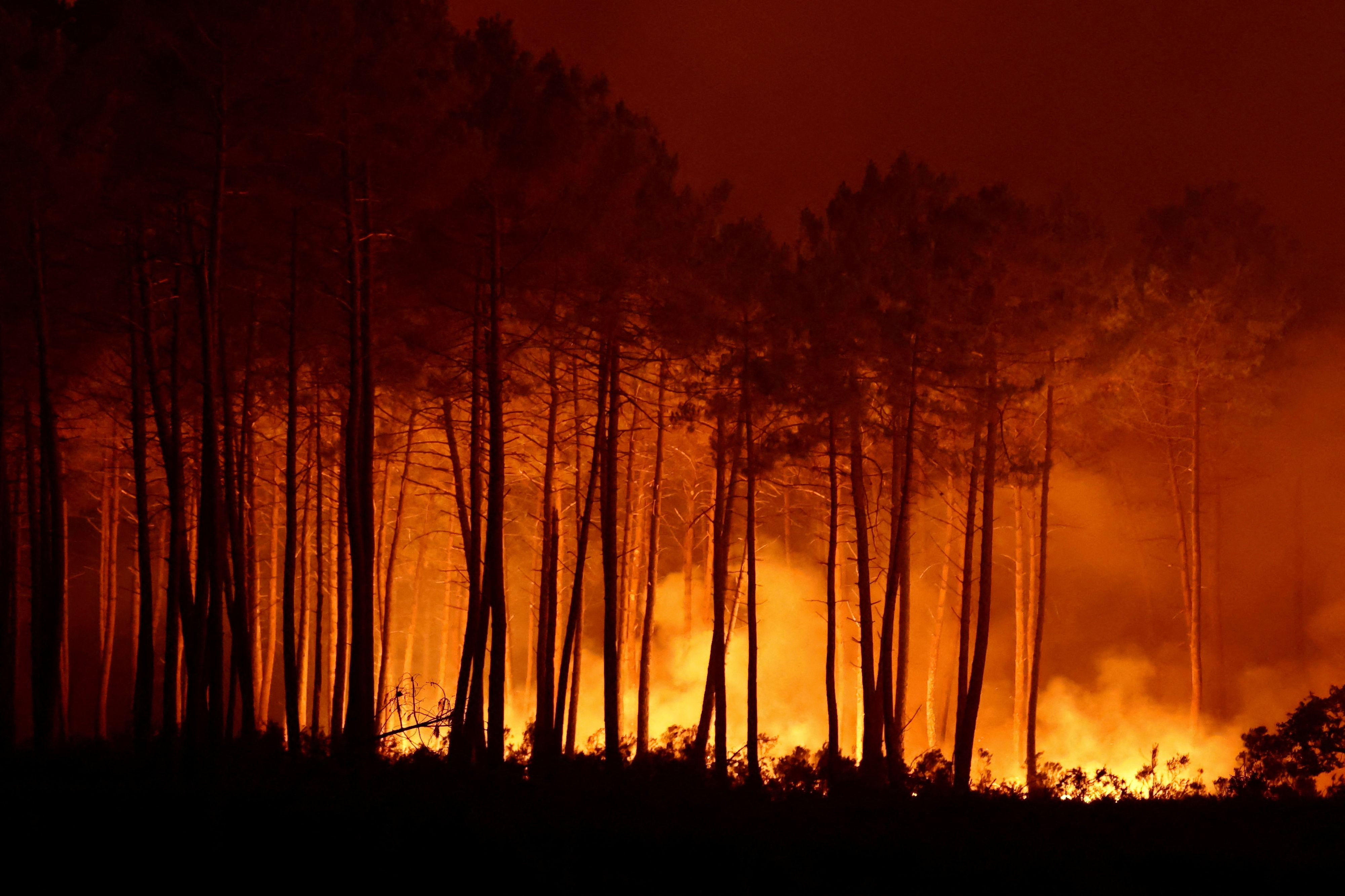 In Frankreich geht der verzweifelte Kampf gegen die lodernden Flammen der Waldbrände unvermindert weiter. 