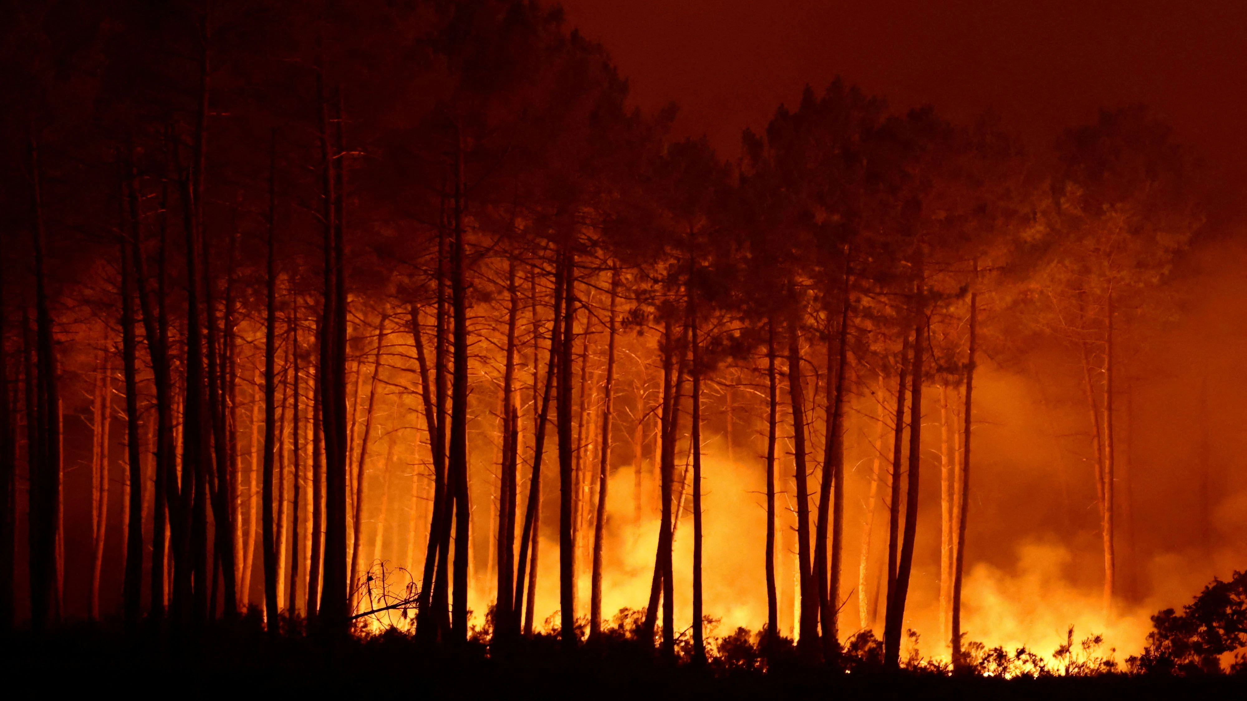 Heute.at - Inferno breitet sich aus – 220.000 Menschen evakuiert
