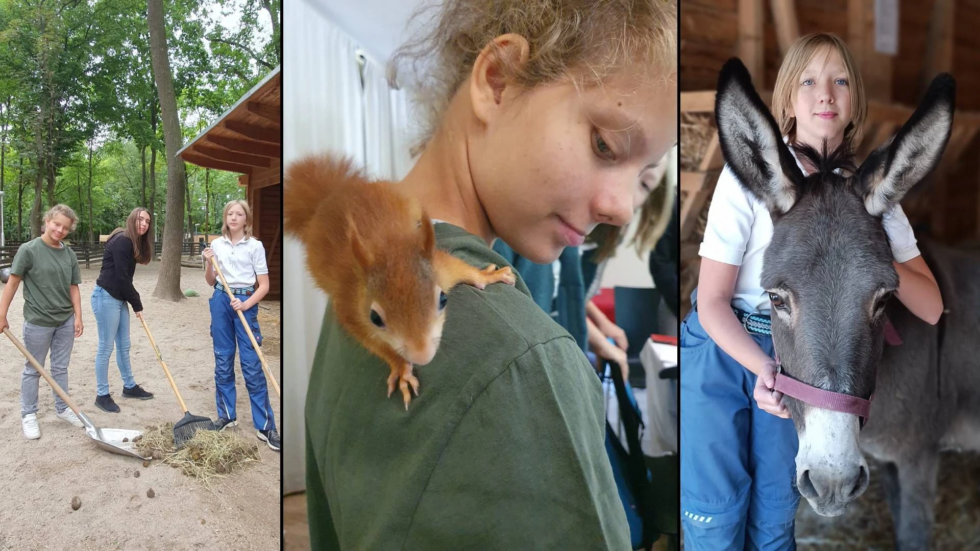 Heute.at - Handy gegen Heugabel! Teenies lernen aktiven Tierschutz