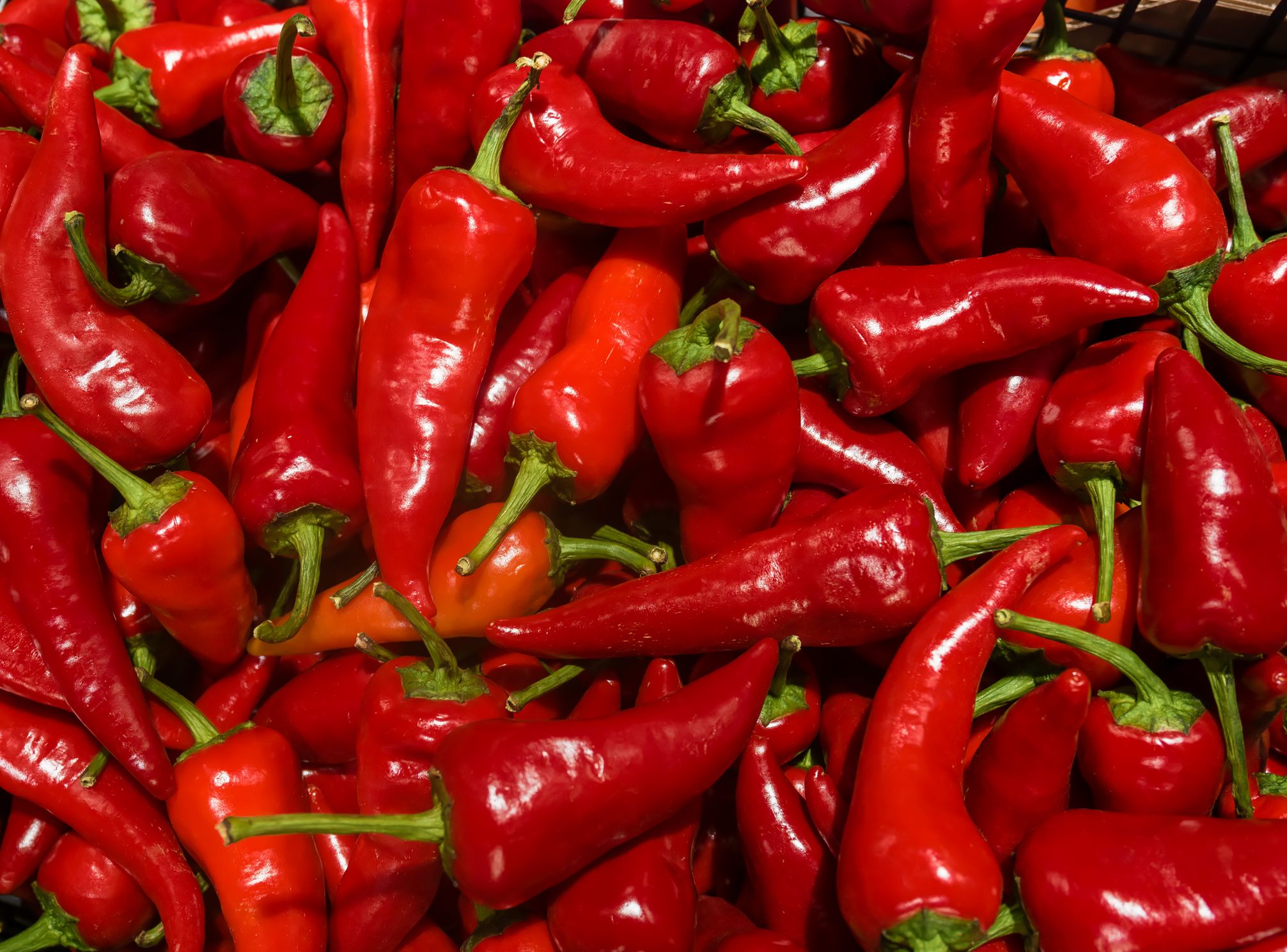 Wer täglich Paprika isst, stärkt sein Immunsystem und regt die Verdauung an.