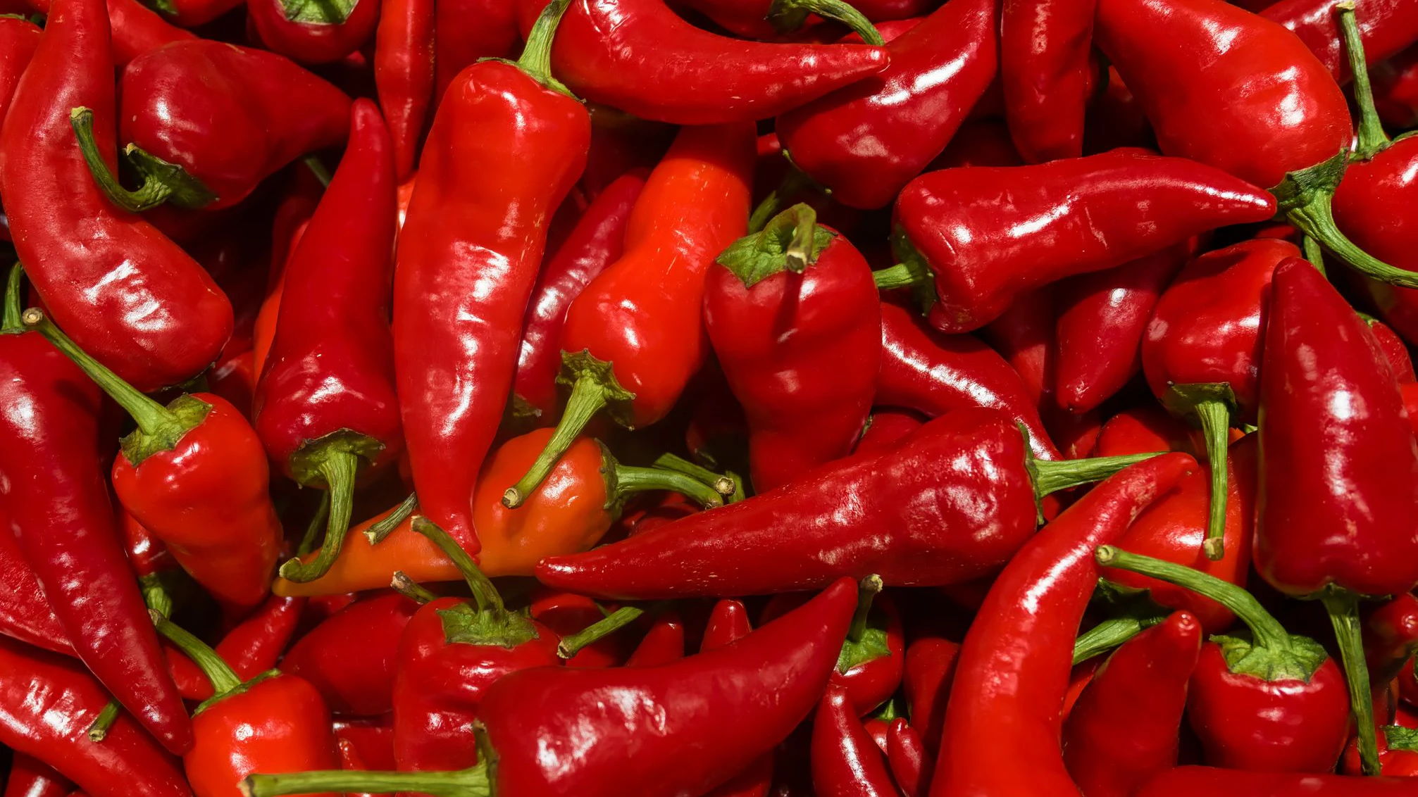 Heute.at - Was passiert, wenn du täglich Paprika isst