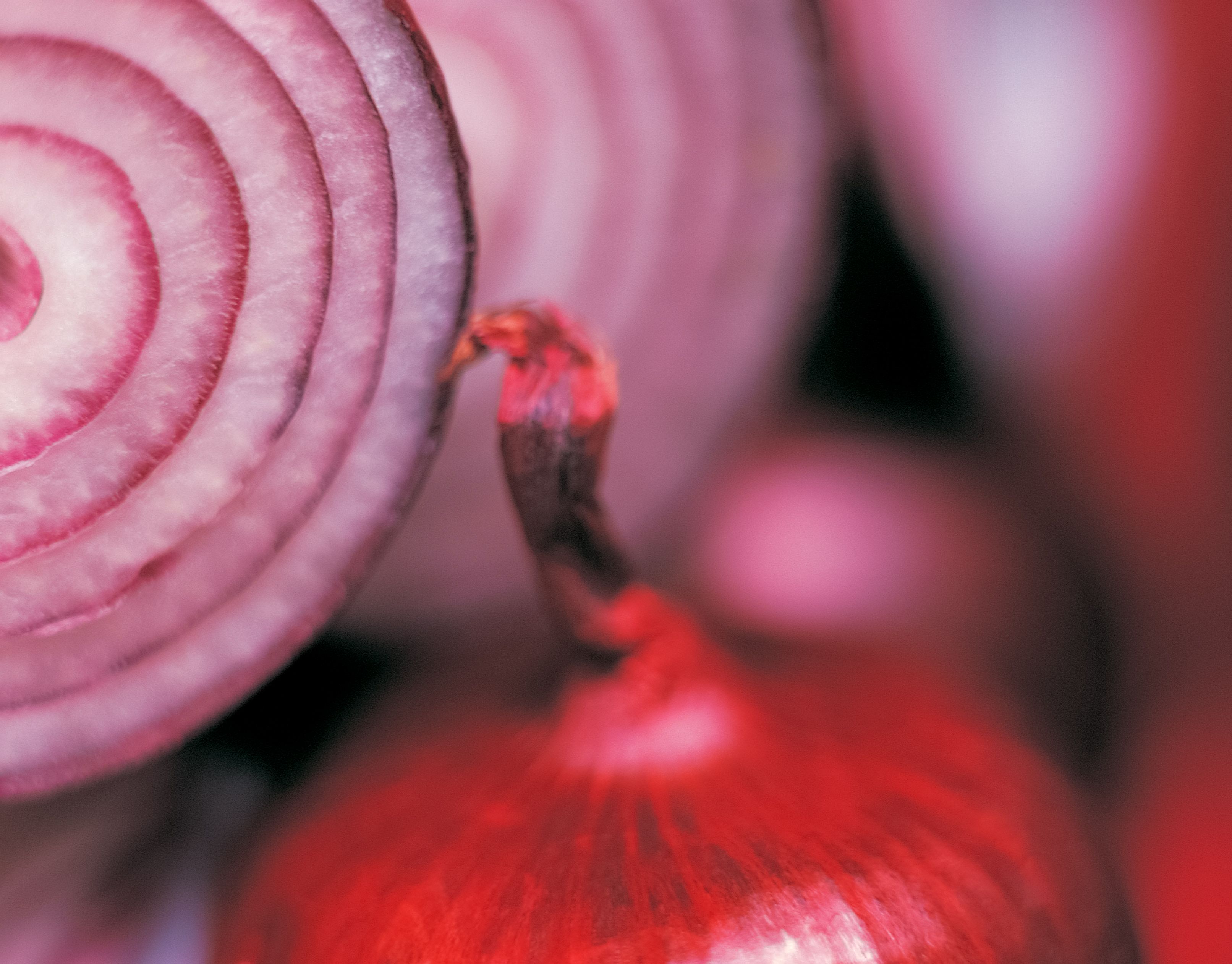 Heute.at - Darum solltest du öfter rote Zwiebeln essen