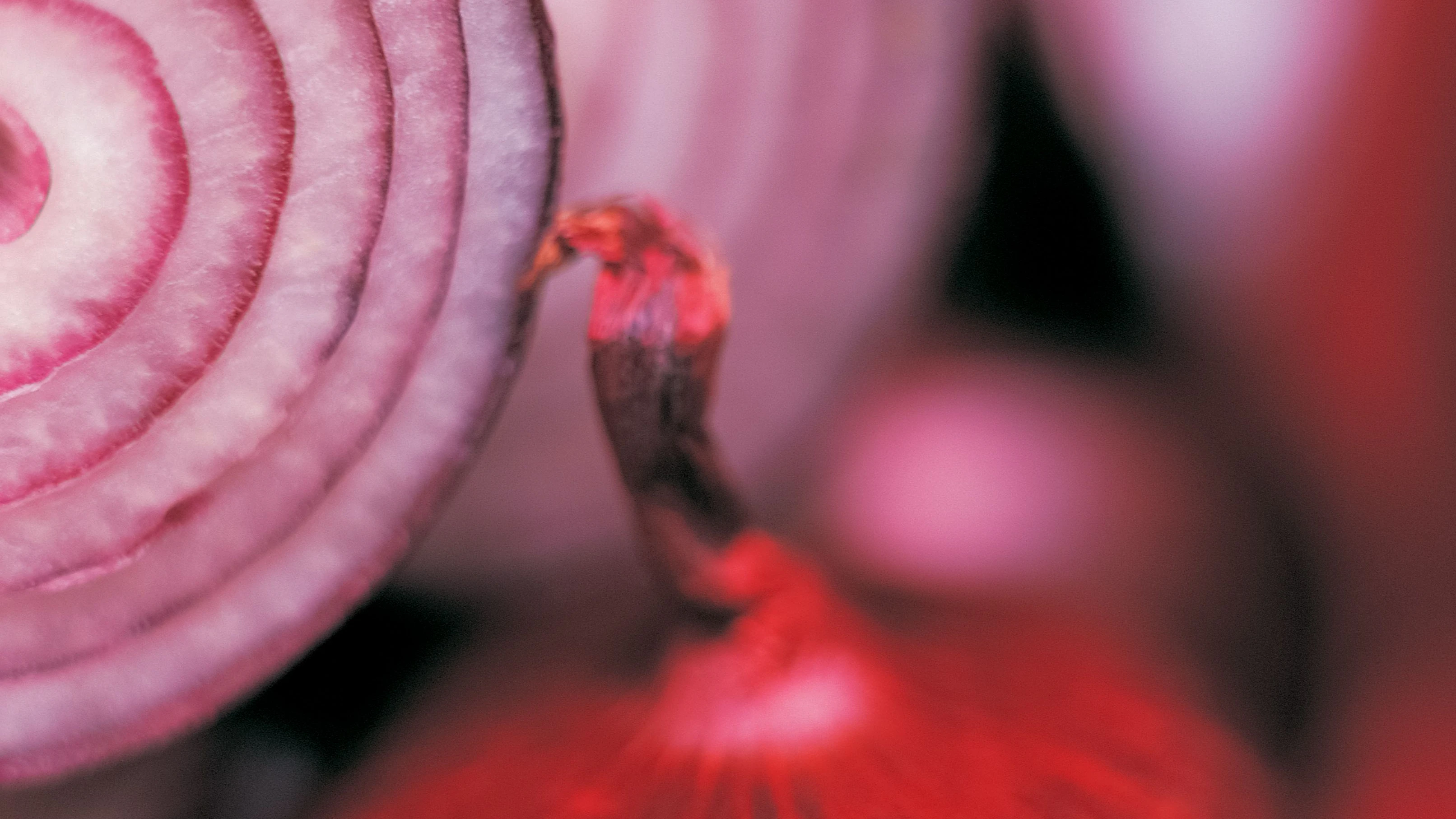Heute.at - Darum solltest du öfter rote Zwiebeln essen