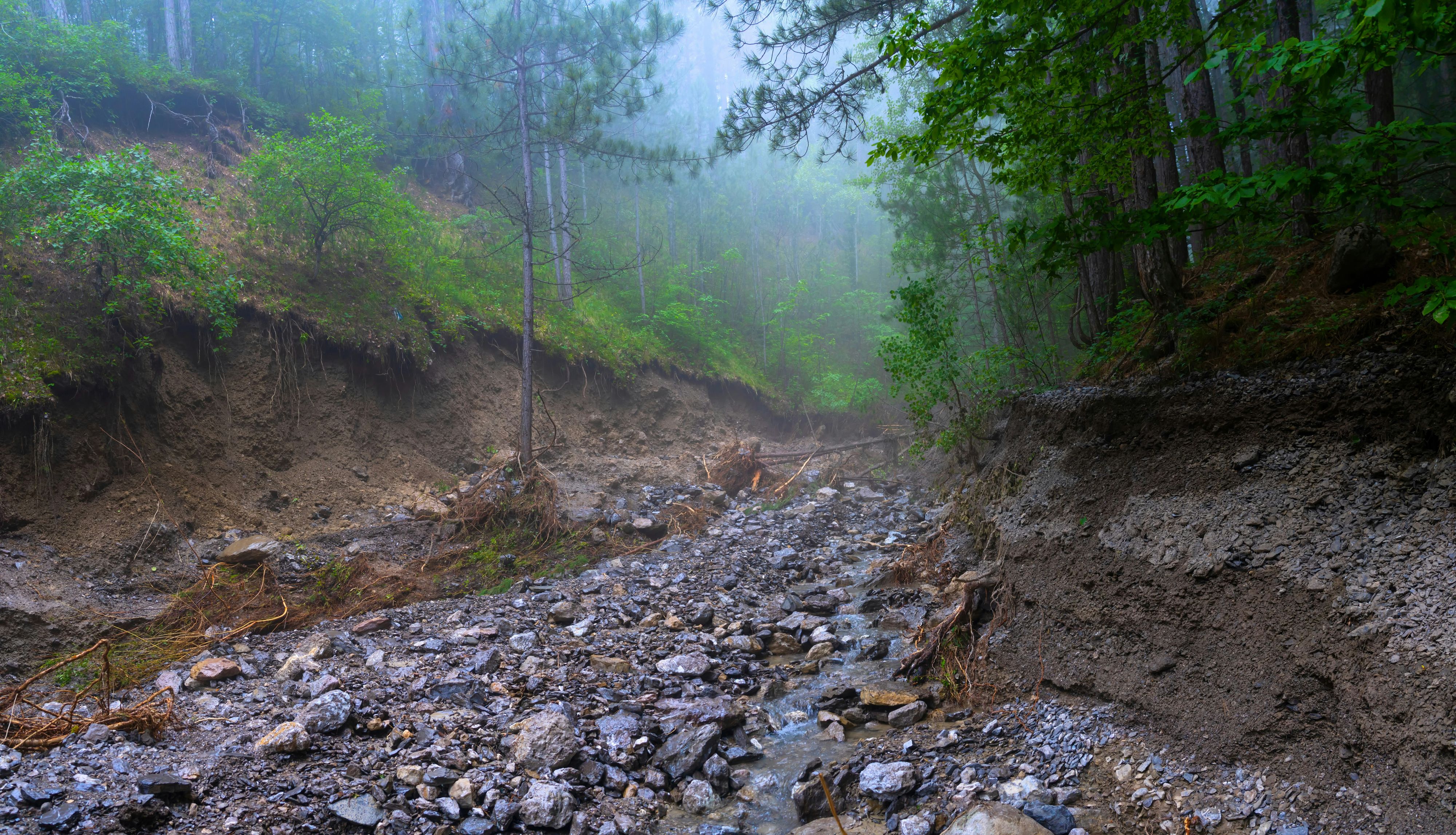 Wegen eines Erdrutsches musste der Kärntner Landwirt sogar seinen Hof verlassen.