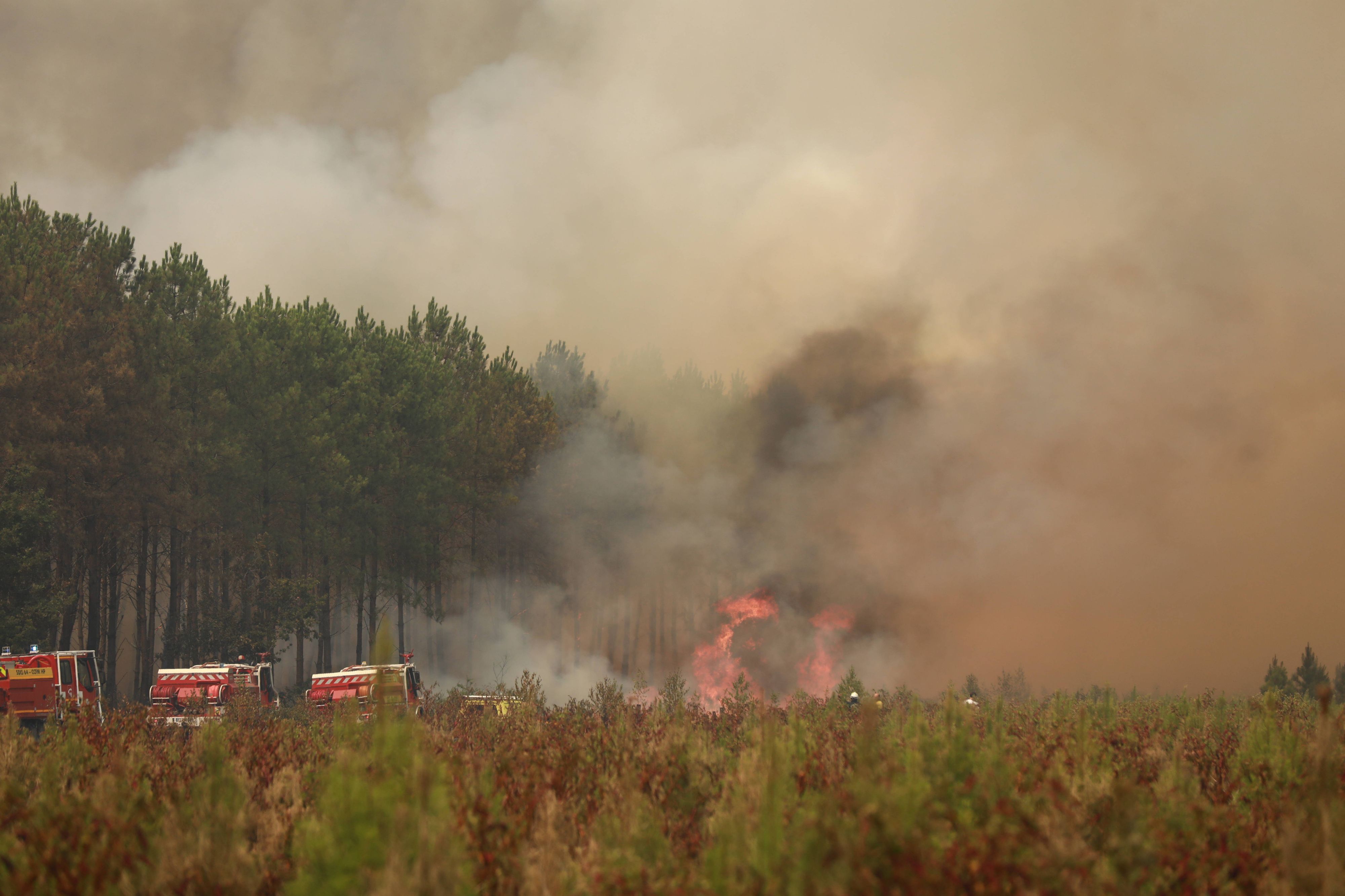 Heute.at - Eigene Wetterwolke – Feuersturm völlig außer Kontrolle
