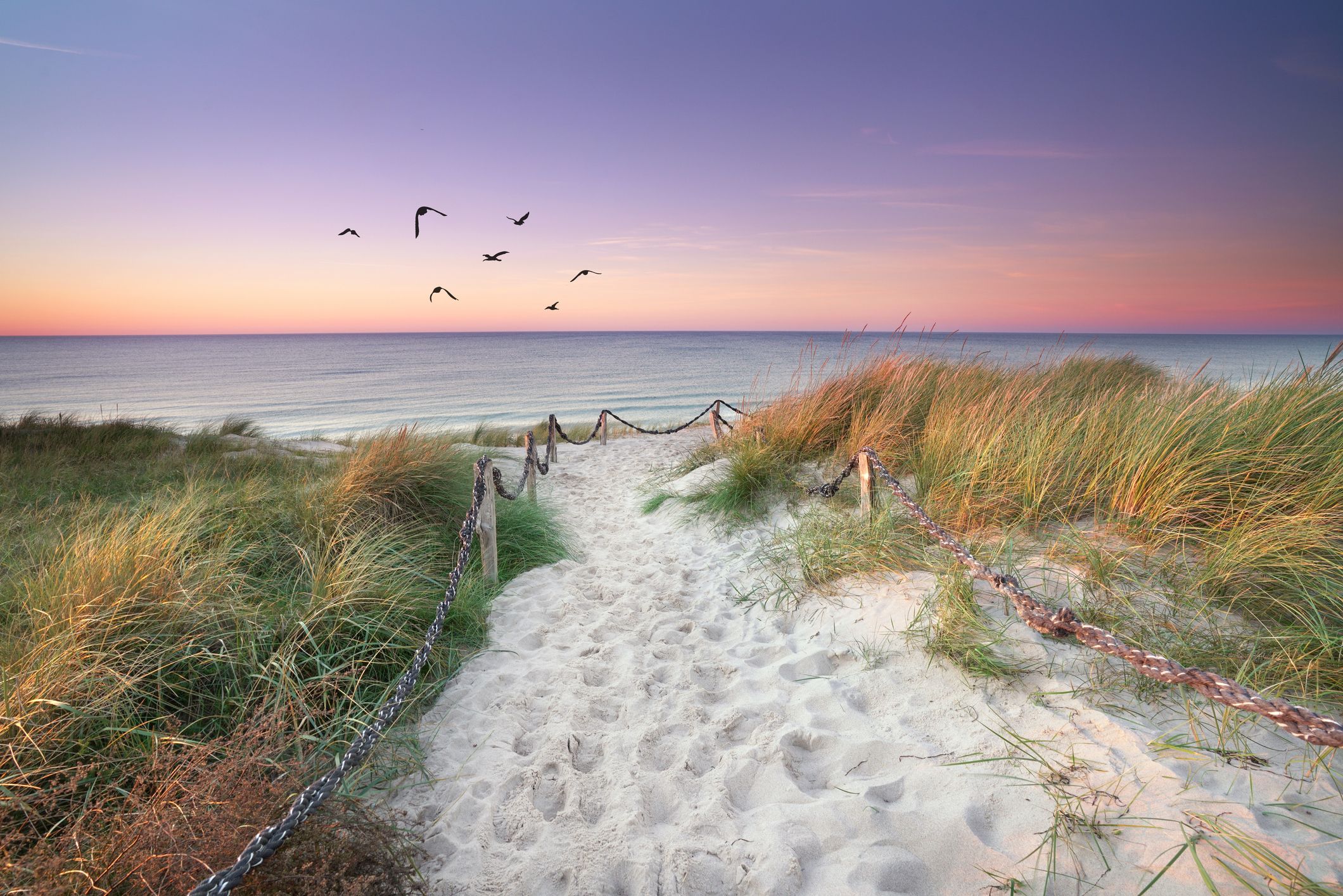 Zwei der Erkrankten hatten sich laut Bericht im Meer- beziehungsweise Brackwasser in Mecklenburg-Vorpommern angesteckt. 