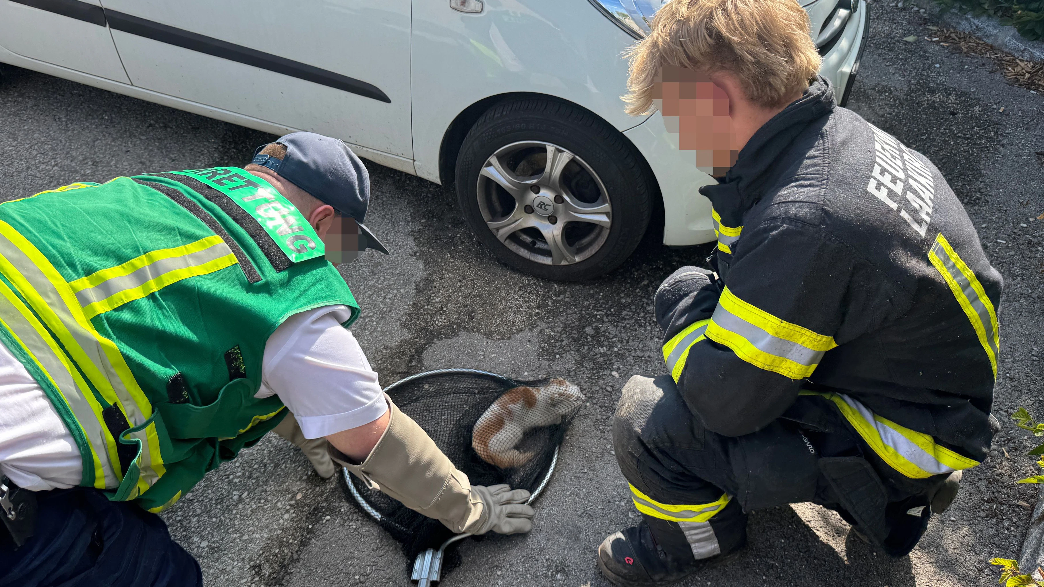 Die Einsatzkräfte konnten das Katzerl schließlich befreien.
