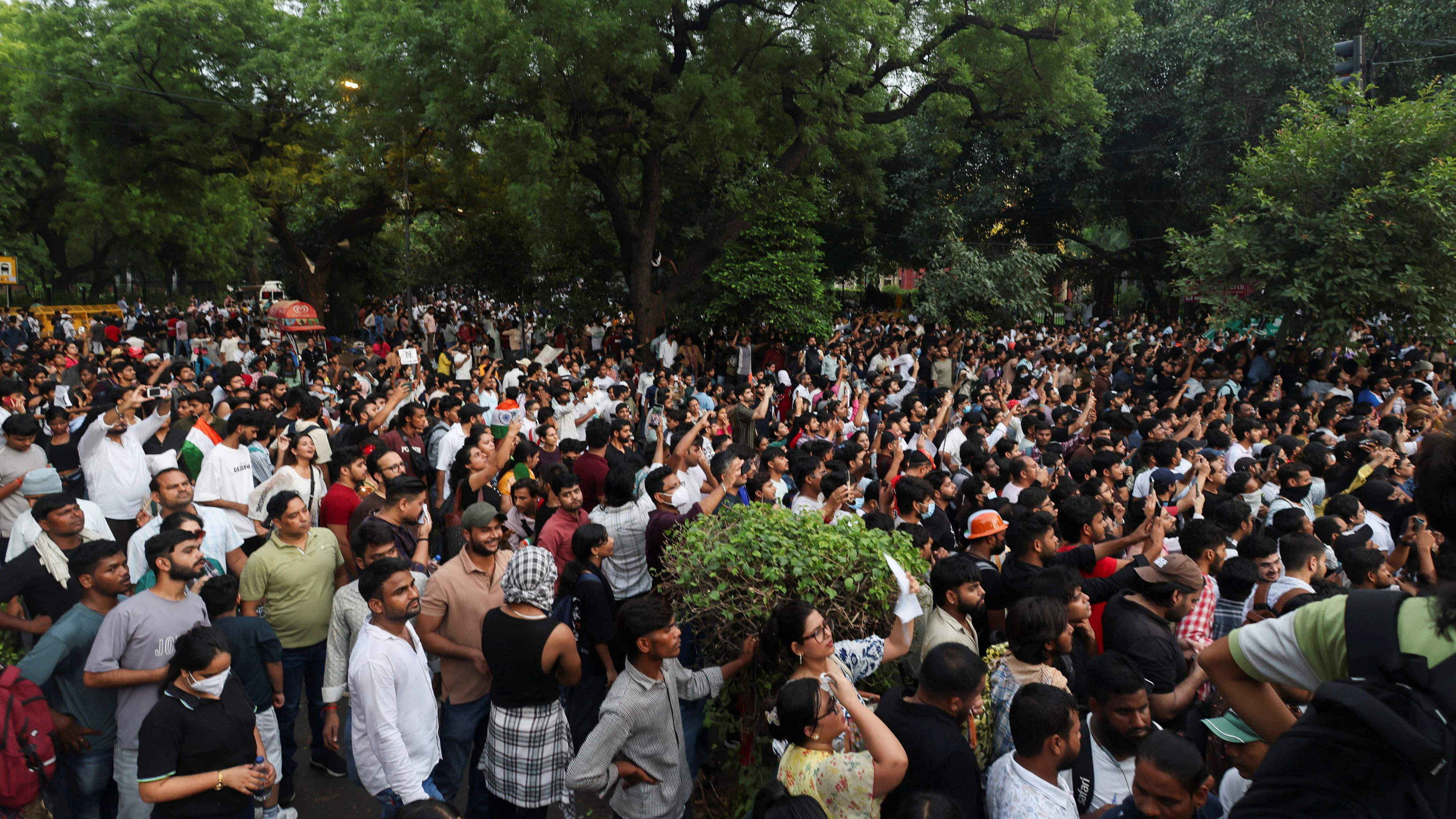 Heute.at - Indien verschärft Strafen nach Kakerlaken-Protesten