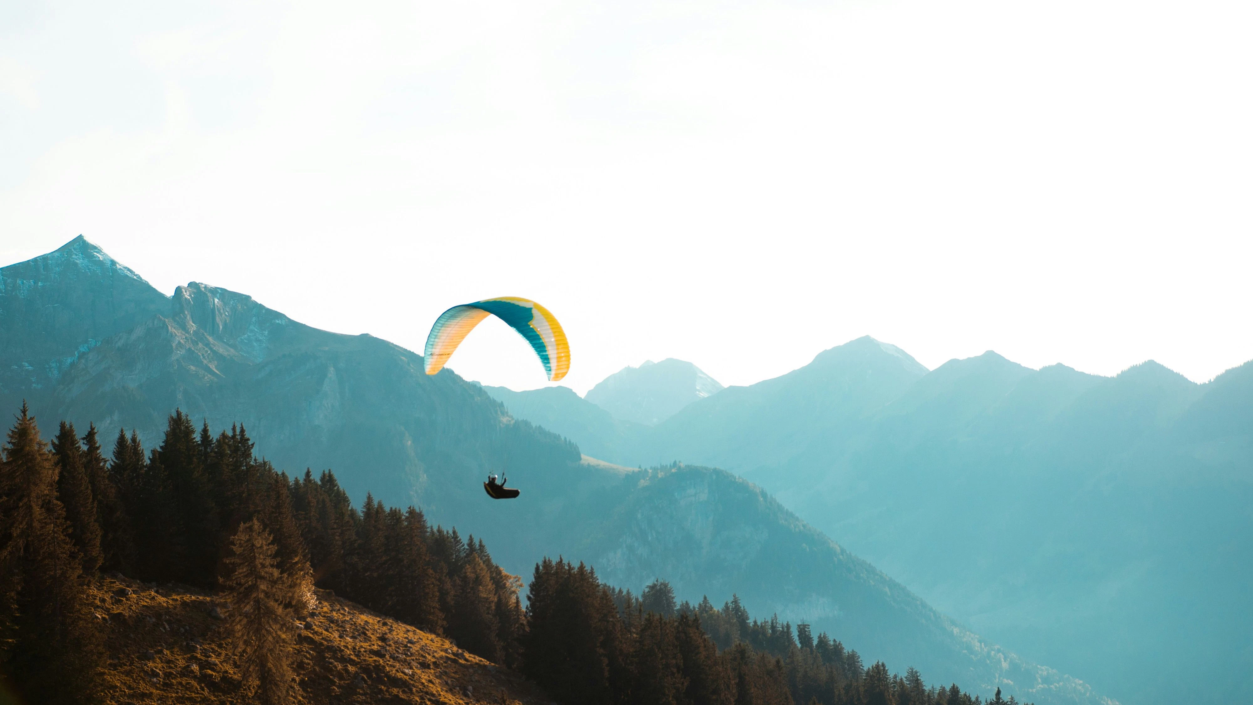 Heute.at - Paragleiter (18) stürzt 150 Meter ab