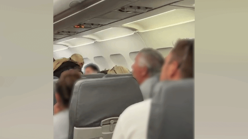 Wilde Szenen im Flieger: Passagiere waren mit den Nerven bereits am Ende – kostenlose Verpflegung gab es dennoch keine.
