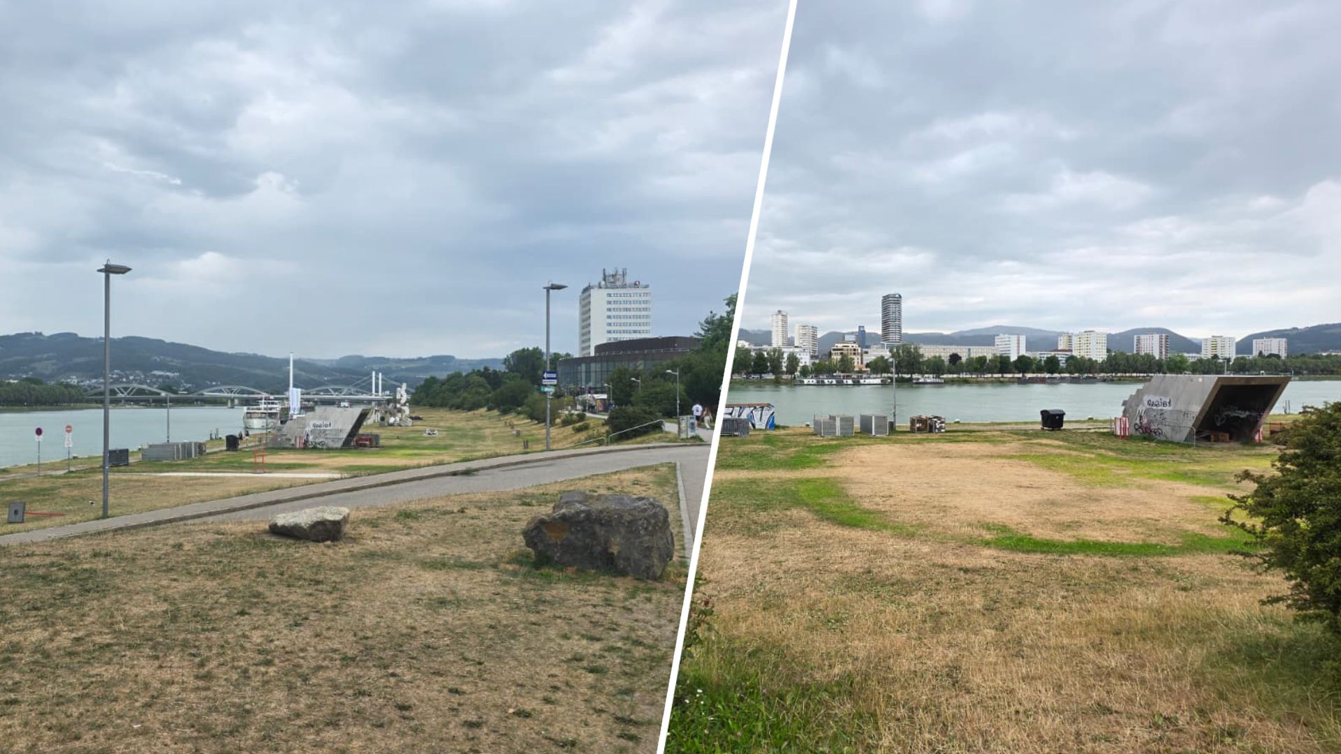 Statt einer satten grünen Wiese zieht sich entlang des Donauufers derzeit ein braun-gelber Grasteppich.