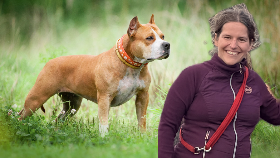 Der American Stafforshire Terrier biss die 4-jährige Matilda zu Tode.