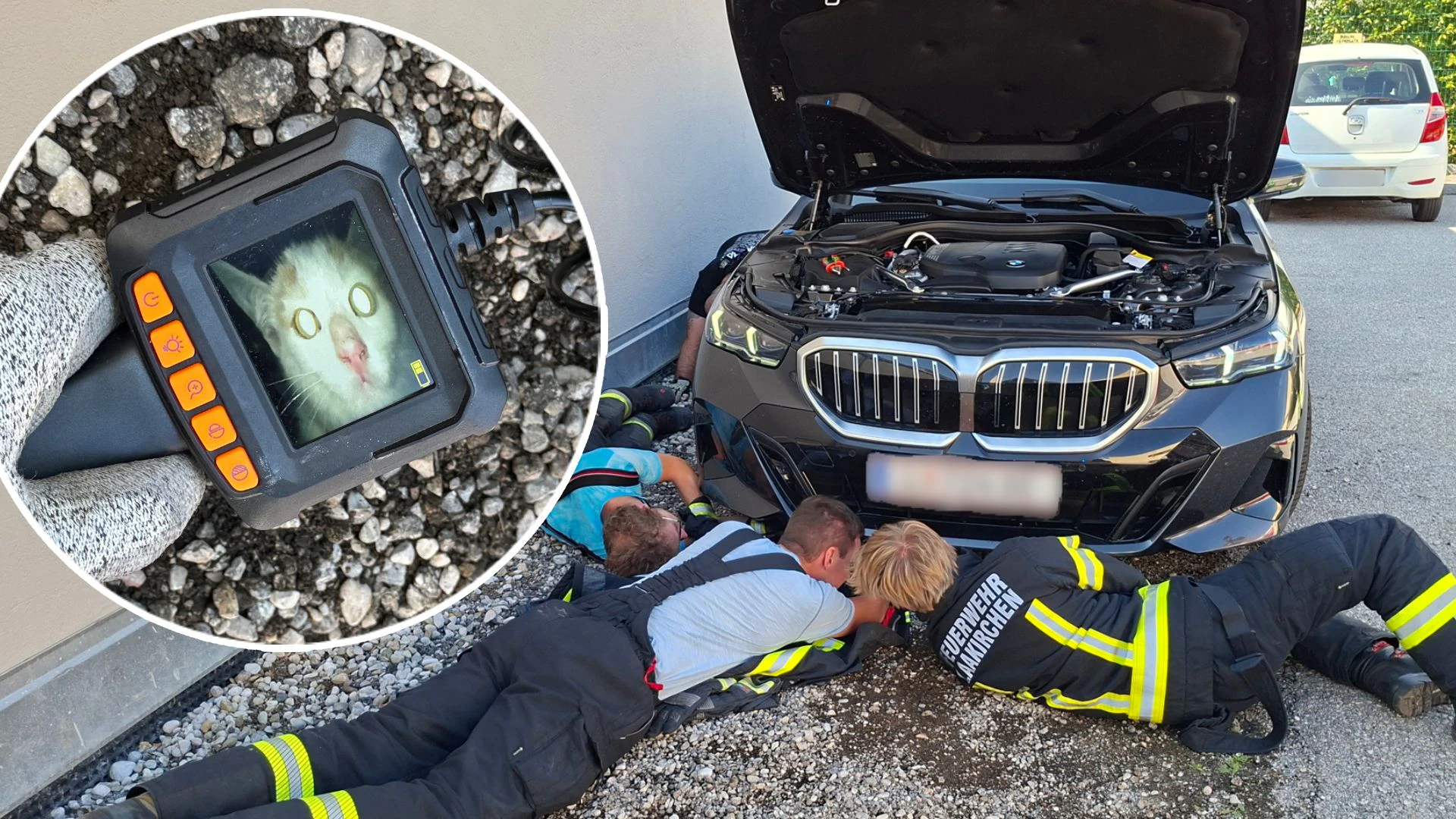 Heute.at - Katzerl steckt fest – Feuerwehr nimmt BMW auseinander