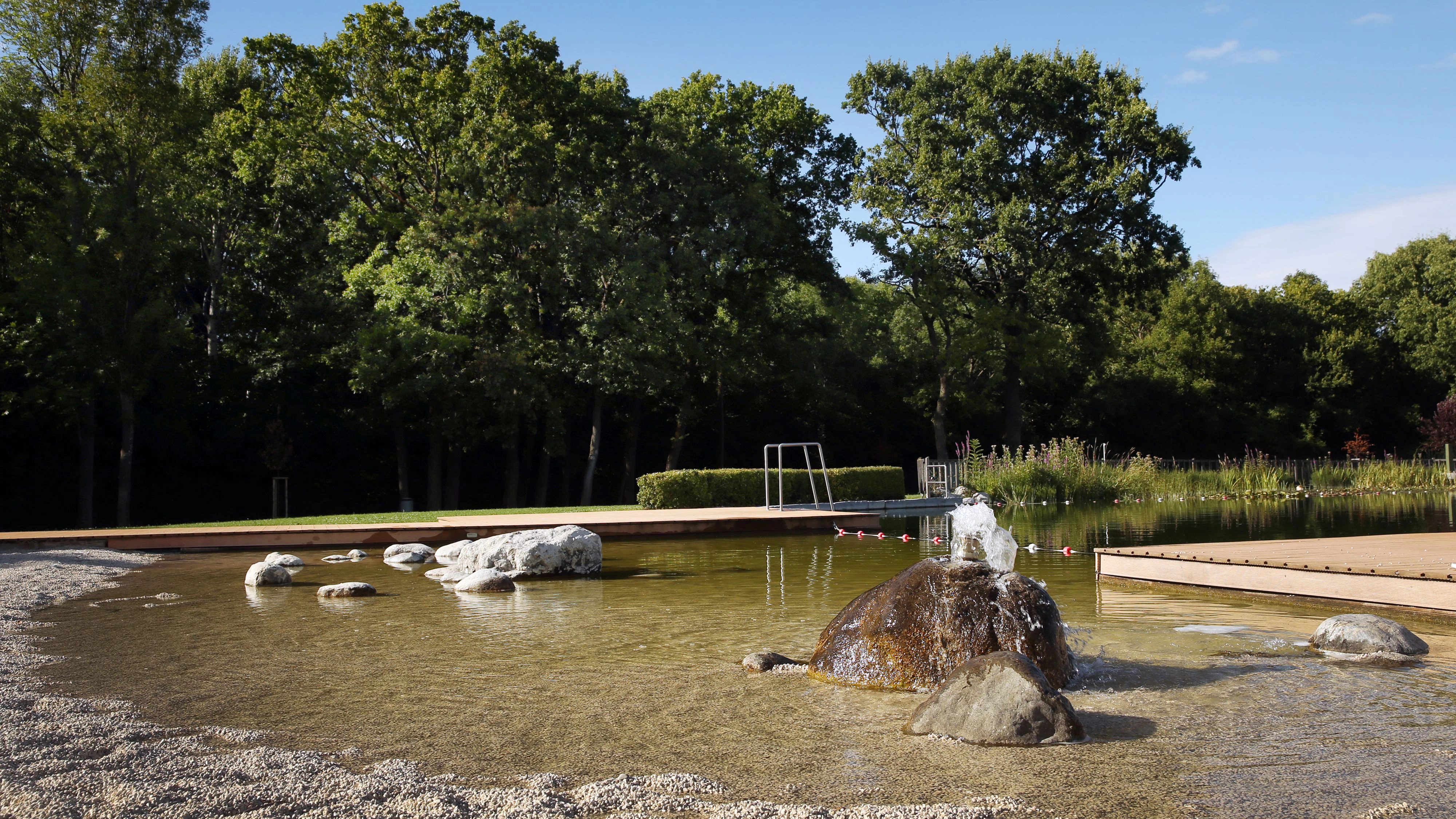 Der Naturbadeteich ist Teil des Freibades im Aquapark Herzogenburg und ist im Sommer die ideale Abkühlung.