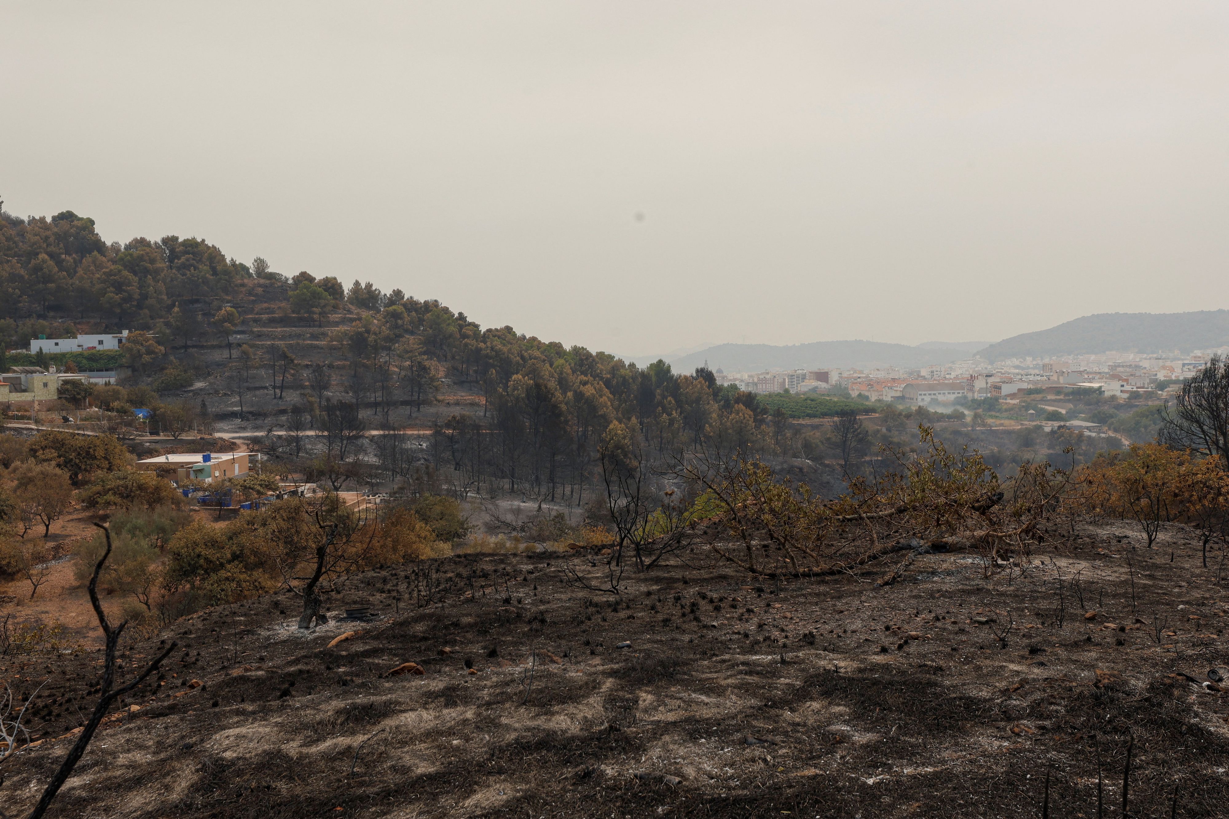 Die Situation scheint sich in manchen Teilen des Landes zu beruhigen.