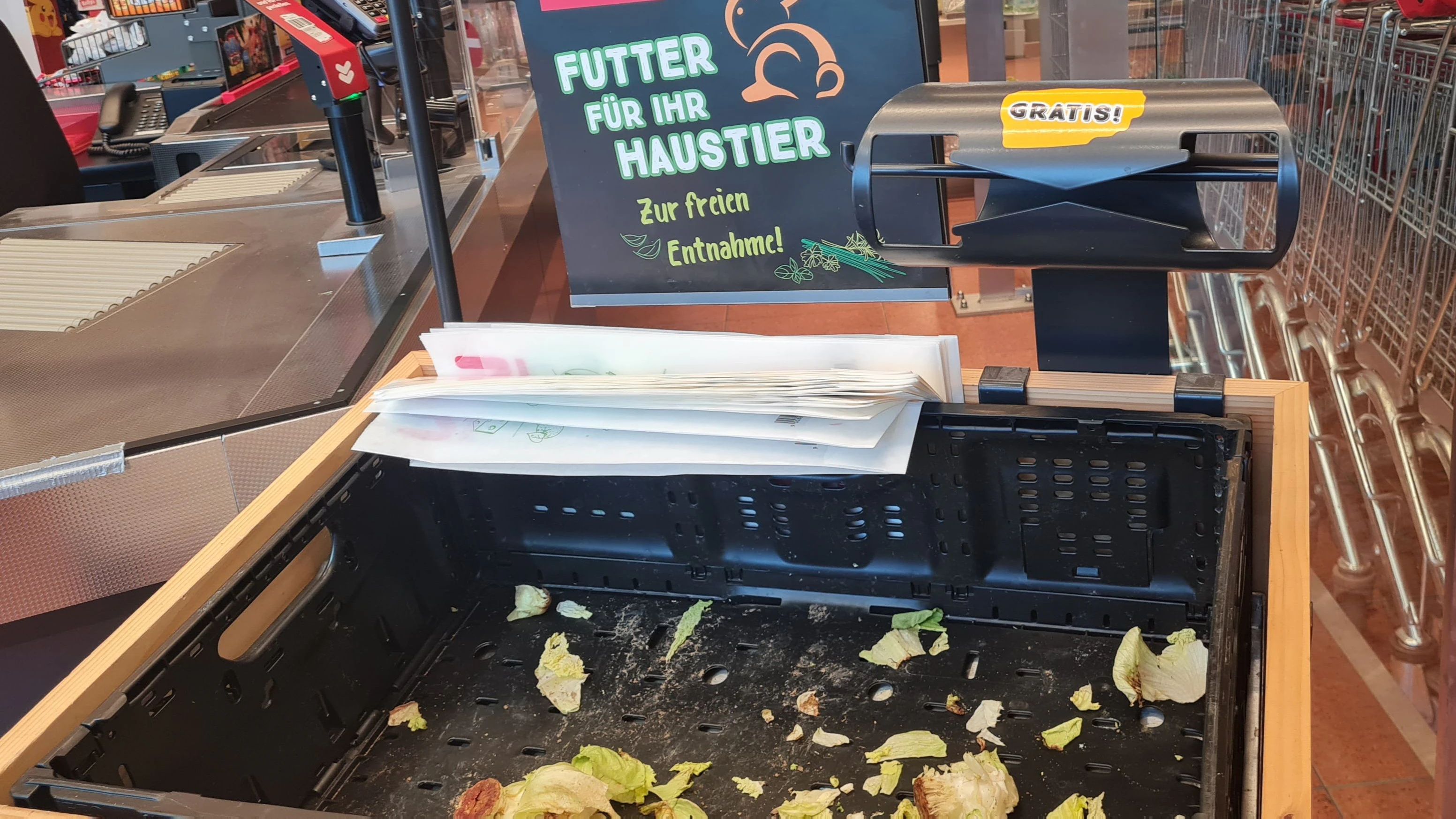 Heute.at - Herzige Aktion: Gratis-Gemüseabfälle für hungrige Tiere