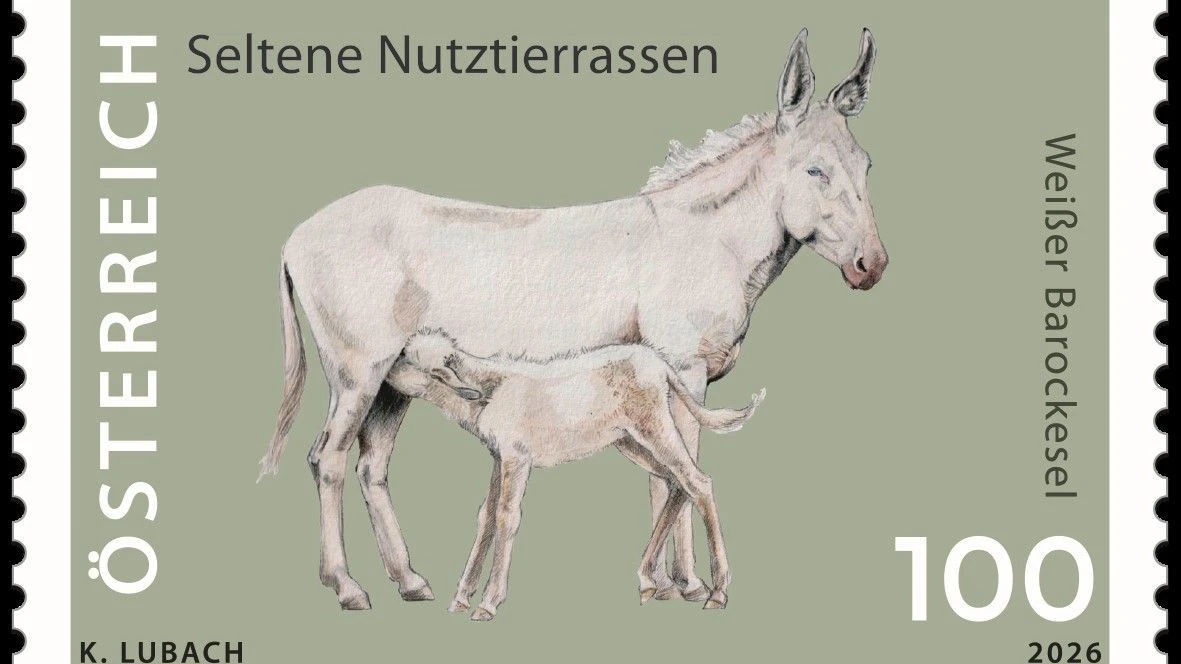 Sonderbriefmarke Weiße Barockesel