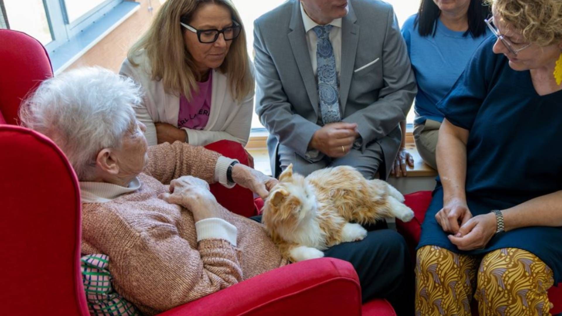 Die Demenzkatzen und Roboterhunde sind total pflegeleicht, haben aber einen positiven Effekt auf die Bewohner.
