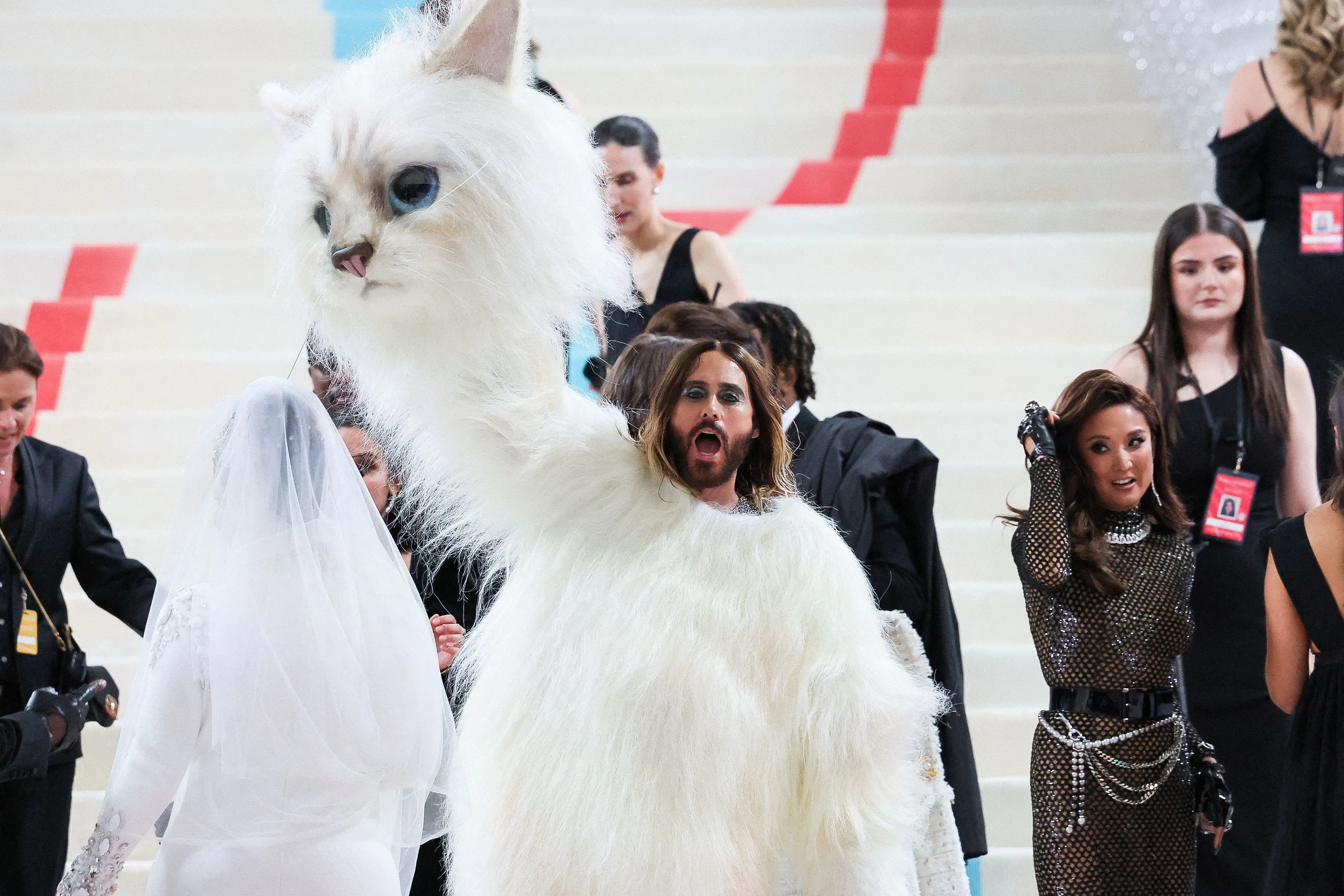 Als Karl Lagerfelds Katze Choupette verkleidet bei der Met-Gala 2023 in New York