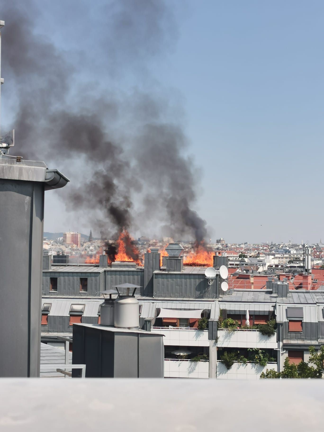 Heute.at - Flammeninferno in Wien – es herrscht Alarmstufe 3
