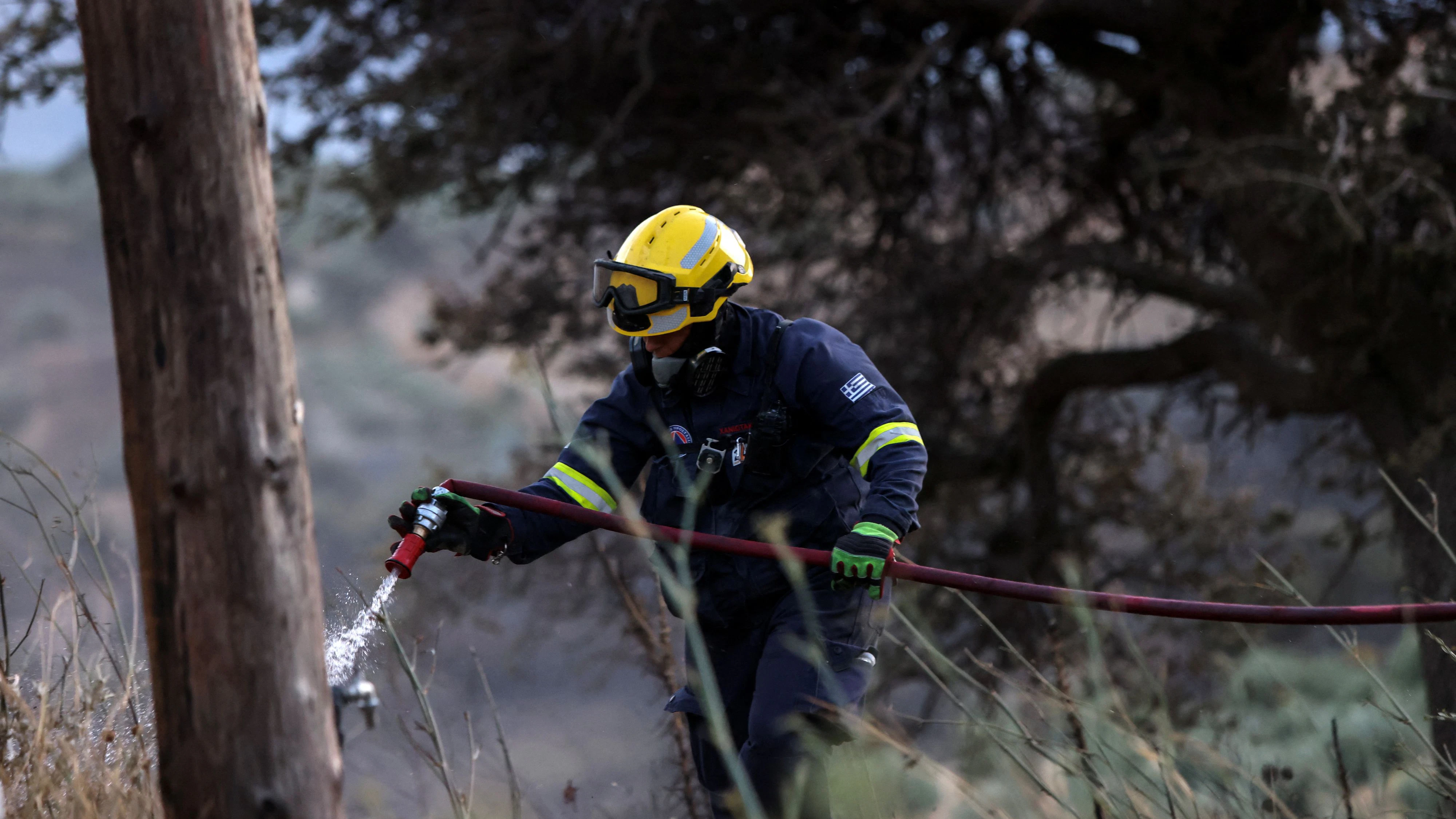 Heute.at - Waldbrand-Drama trifft Urlaubsparadiese