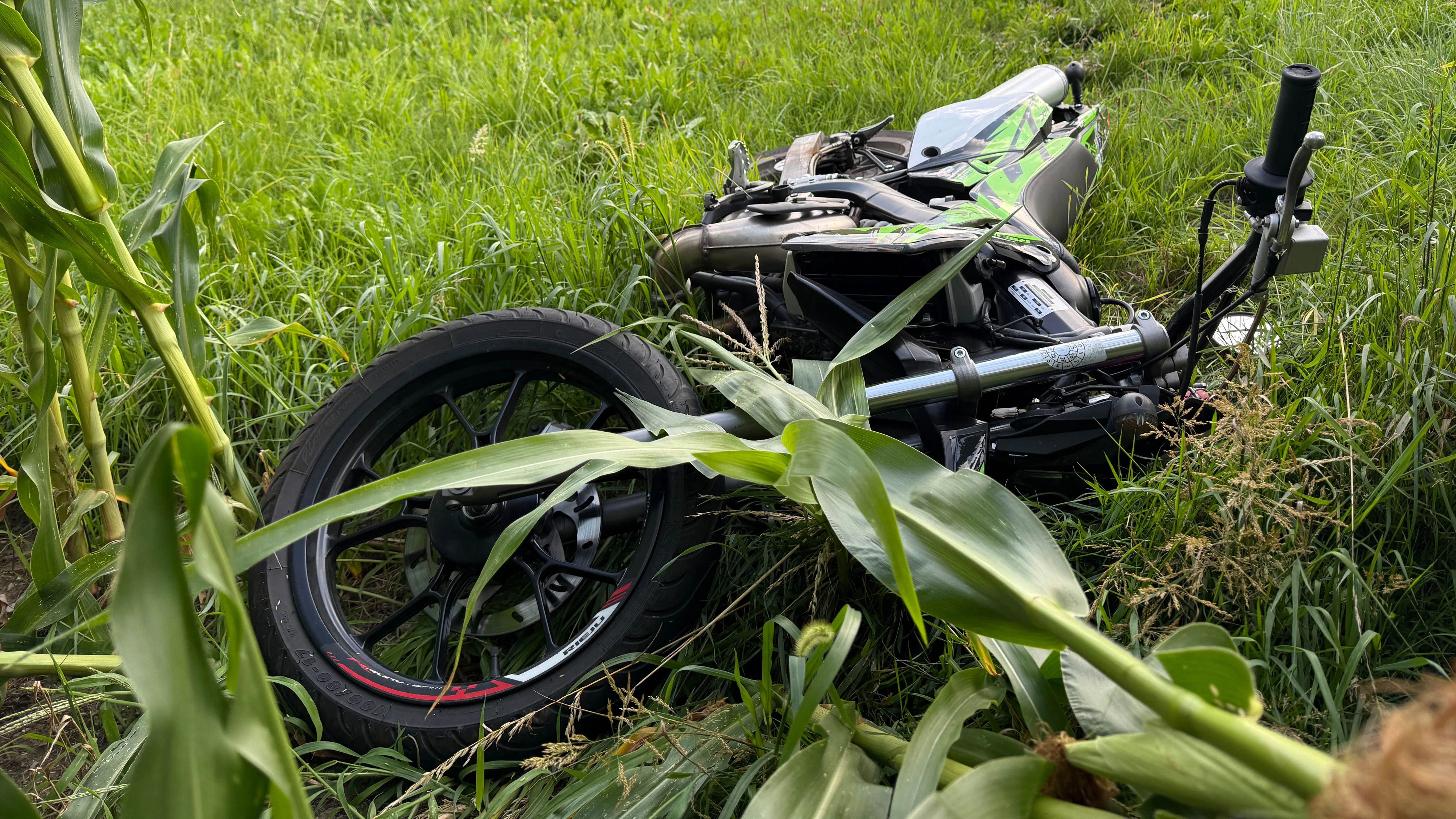 Heute.at - Minderjähriger Mopedfahrer fliegt in Maisfeld