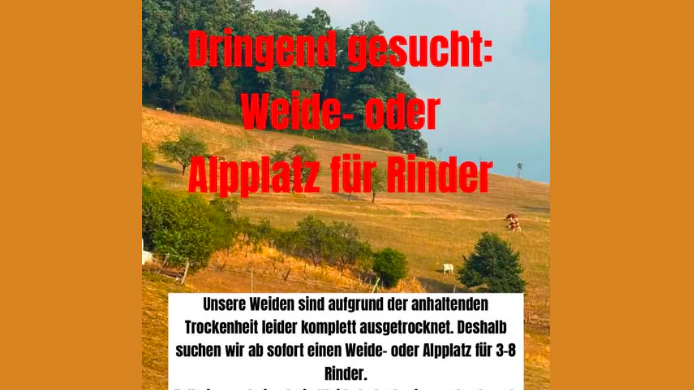 Heute.at - Alles verdorrt! Verzweifelte Suche nach Weidefläche