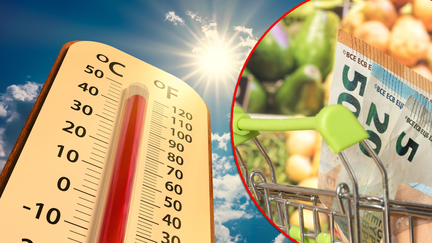 Heute.at - Brutale Hitze – jetzt droht Preis-Schock im Supermarkt
