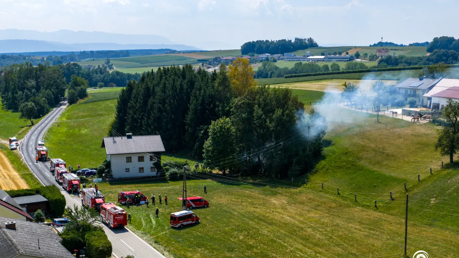 Rauch stieg am Freitag aus dem Waldstück auf.