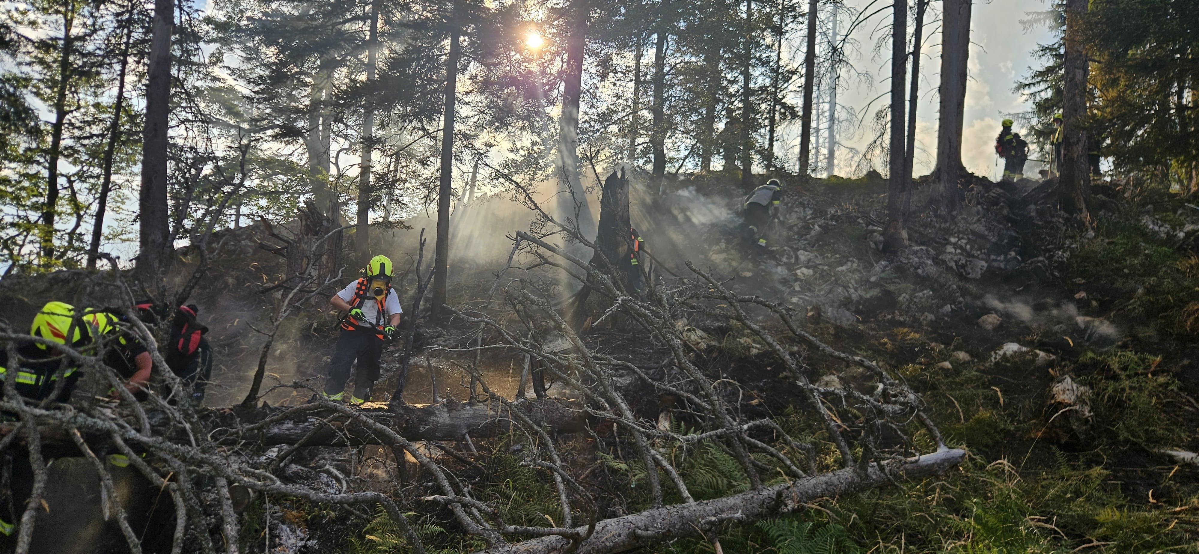 150 Einsatzkräfte konnten den Waldbrand schließlich unter Kontrolle bringen.
