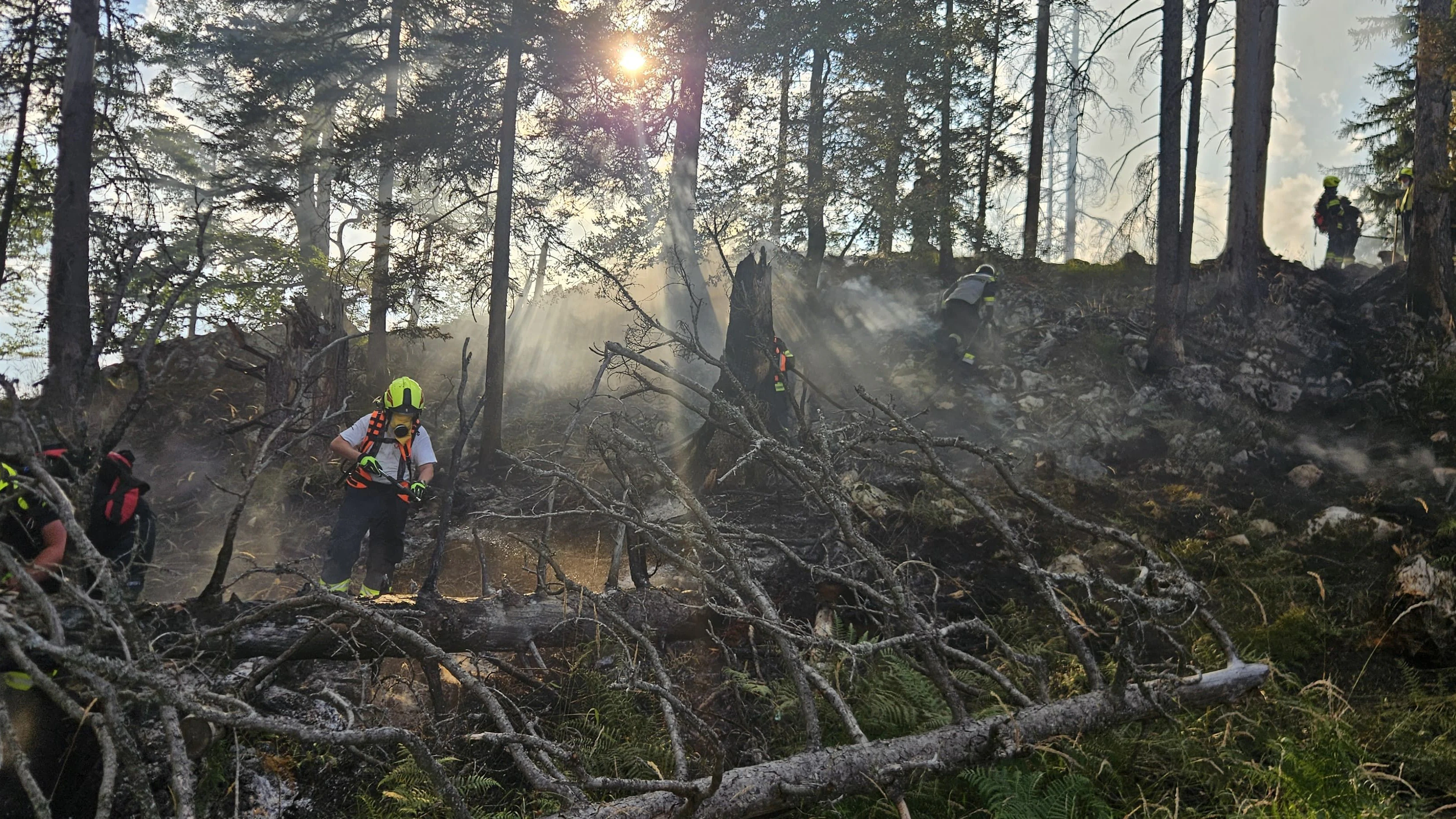 Heute.at - Heftiger Waldbrand! 150 Helfer kämpfen gegen Flammen