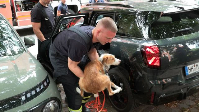 Heute.at - Feuerwehr rettet Hund – heftiger Streit mit Frauchen