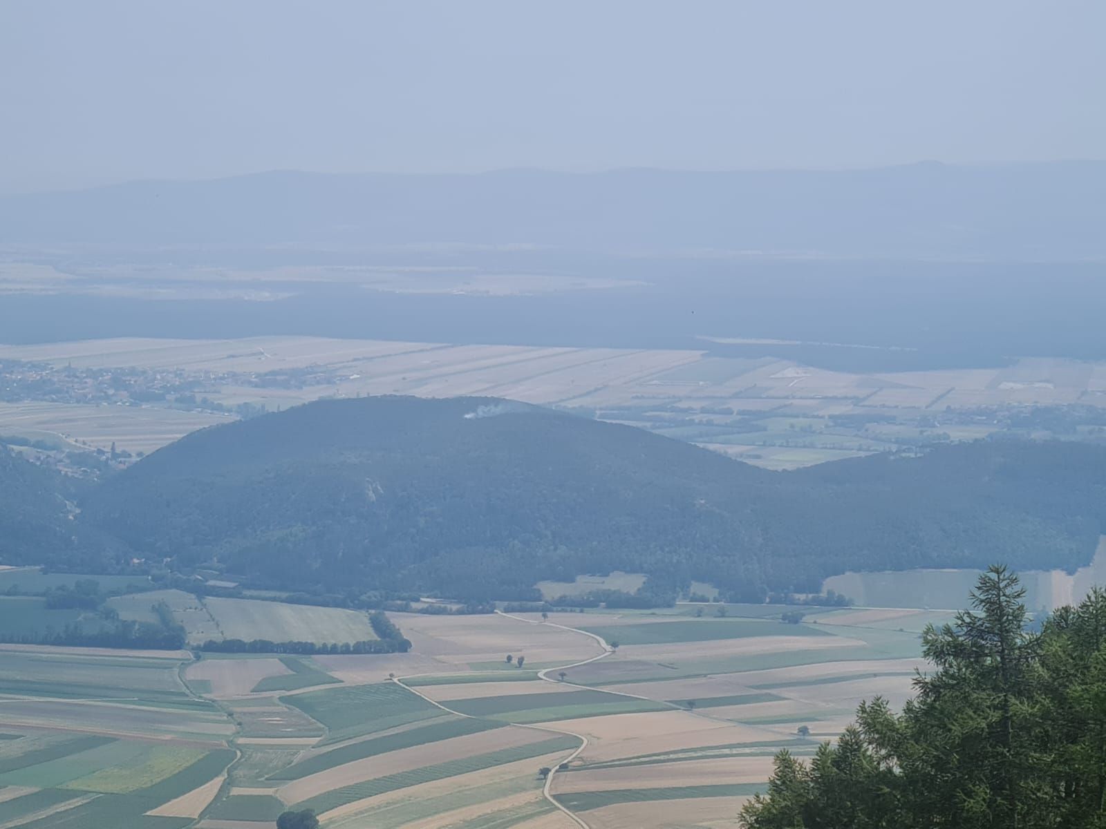 Waldbrand in Winzendorf