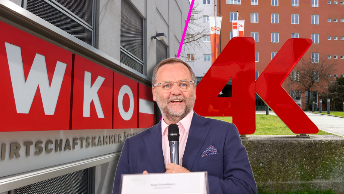 Heute.at - 160-Millionen-Loch: Schellhorn will Geld von AK und WKO