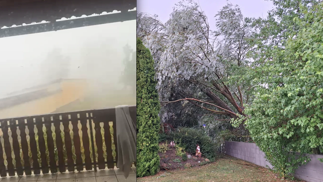 Heute.at - Downburst – Sturm verwüstet Ort in wenigen Minuten